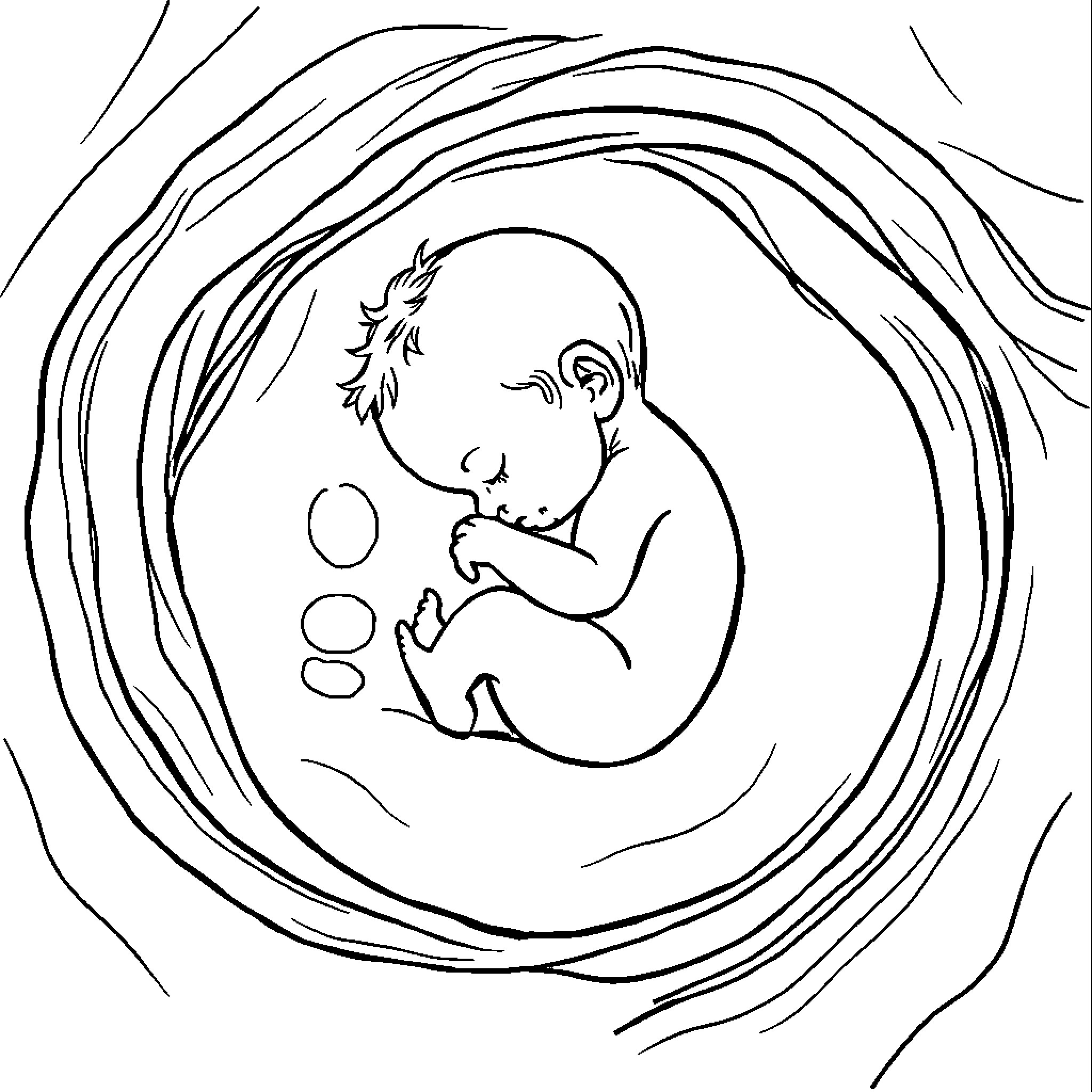 Baby in the womb Coloring Page (free black-and-white line drawing printable PDF for all, from beginners to advanced learners, including children, teens, adults, and seniors)