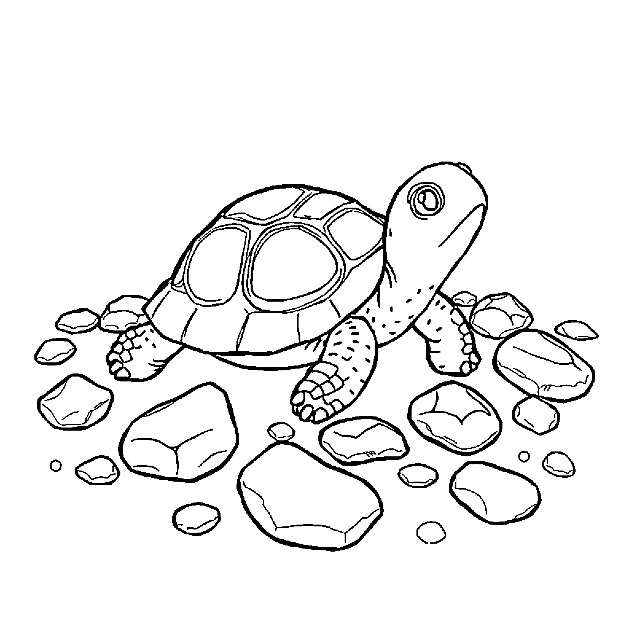 Turtle exploring rocky terrain Coloring Page (free black-and-white line drawing printable PDF for all, from beginners to advanced learners, including children, teens, adults, and seniors)