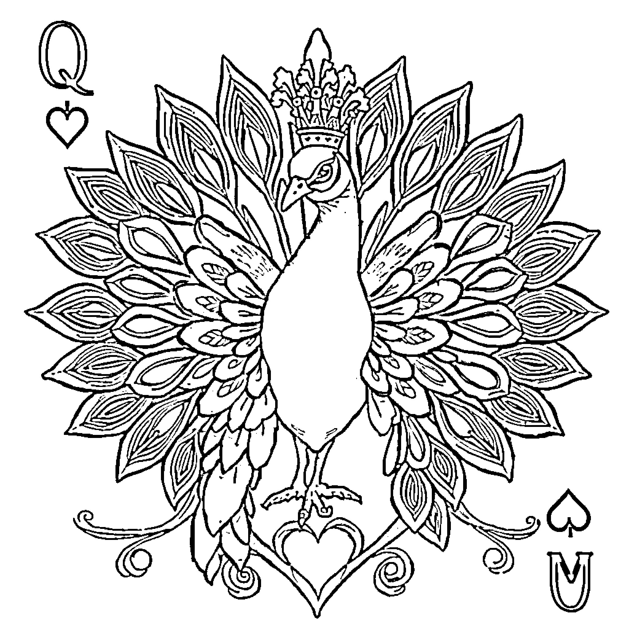 Peacock with Ornate Feather Display Coloring Page (free black-and-white line drawing printable PDF for all, from beginners to advanced learners, including children, teens, adults, and seniors)
