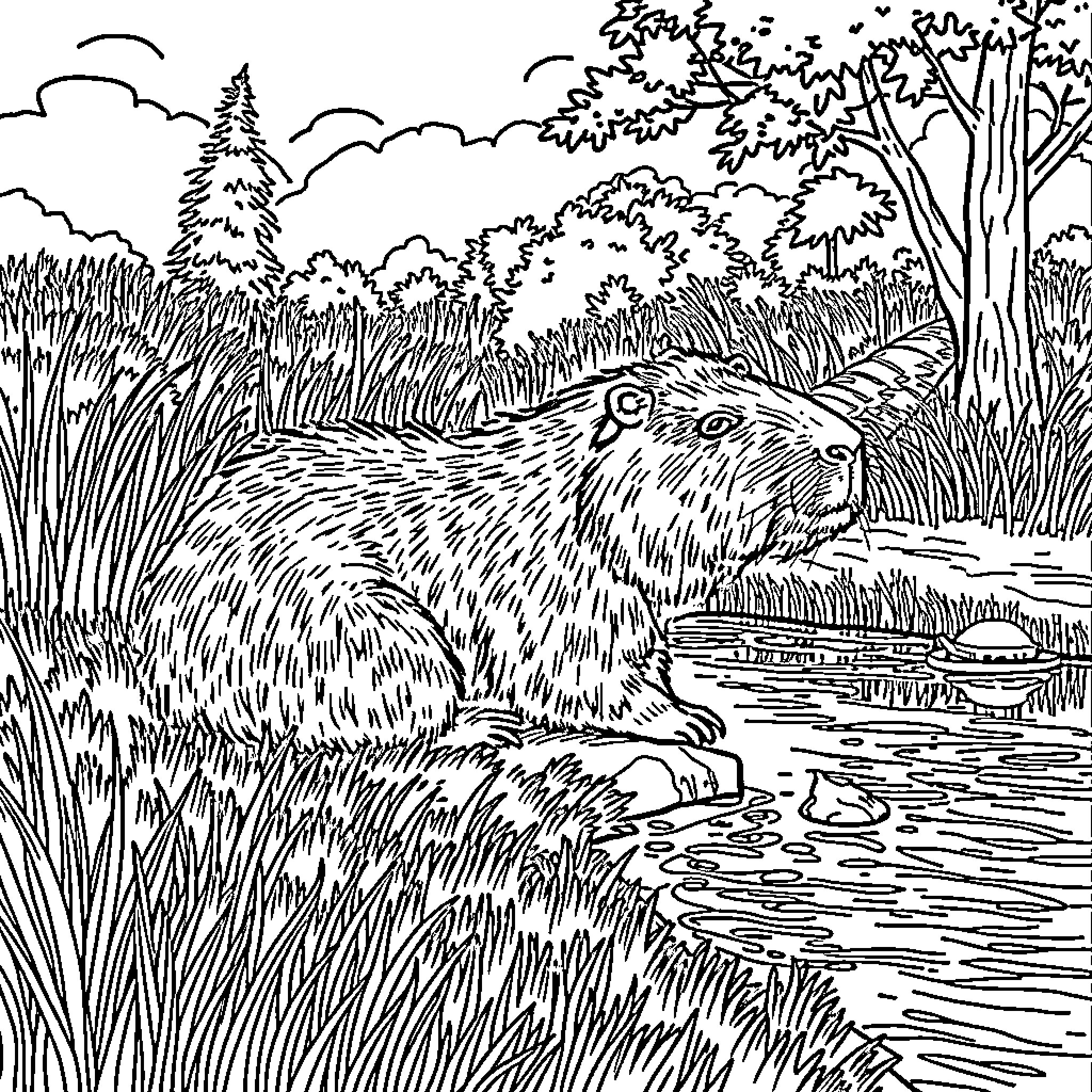 Capybara resting in a serene forest landscape Coloring Page (free black-and-white line drawing printable PDF for all, from beginners to advanced learners, including children, teens, adults, and seniors)