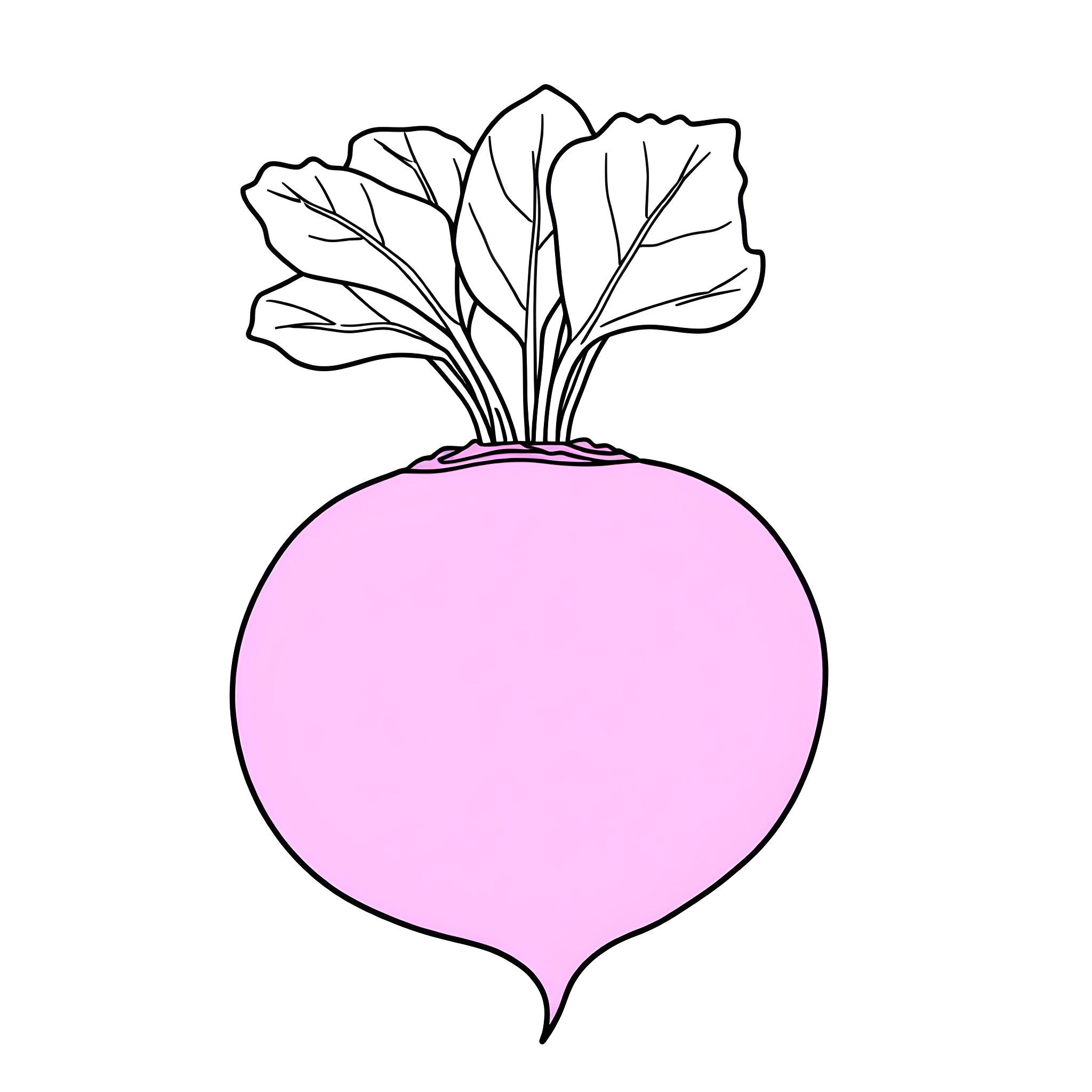 Beetroot with vibrant leaves Coloring Page (free black-and-white line drawing printable PDF for all, from beginners to advanced learners, including children, teens, adults, and seniors)
