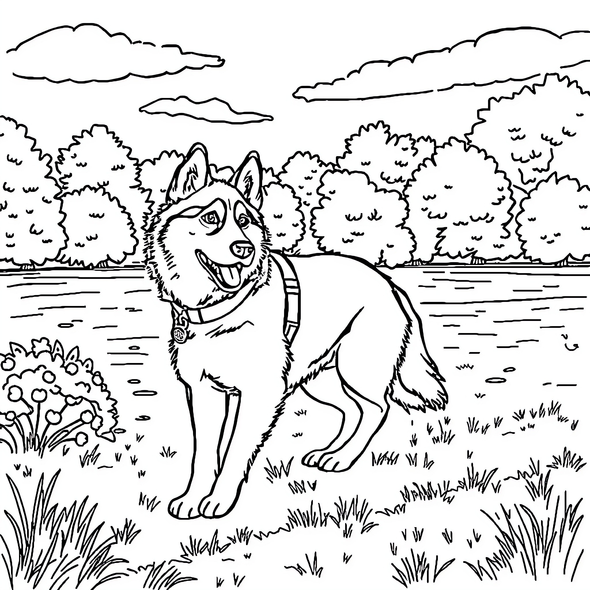 Husky dog exploring the natural landscape Coloring Page (free black-and-white line drawing printable PDF for all, from beginners to advanced learners, including children, teens, adults, and seniors)