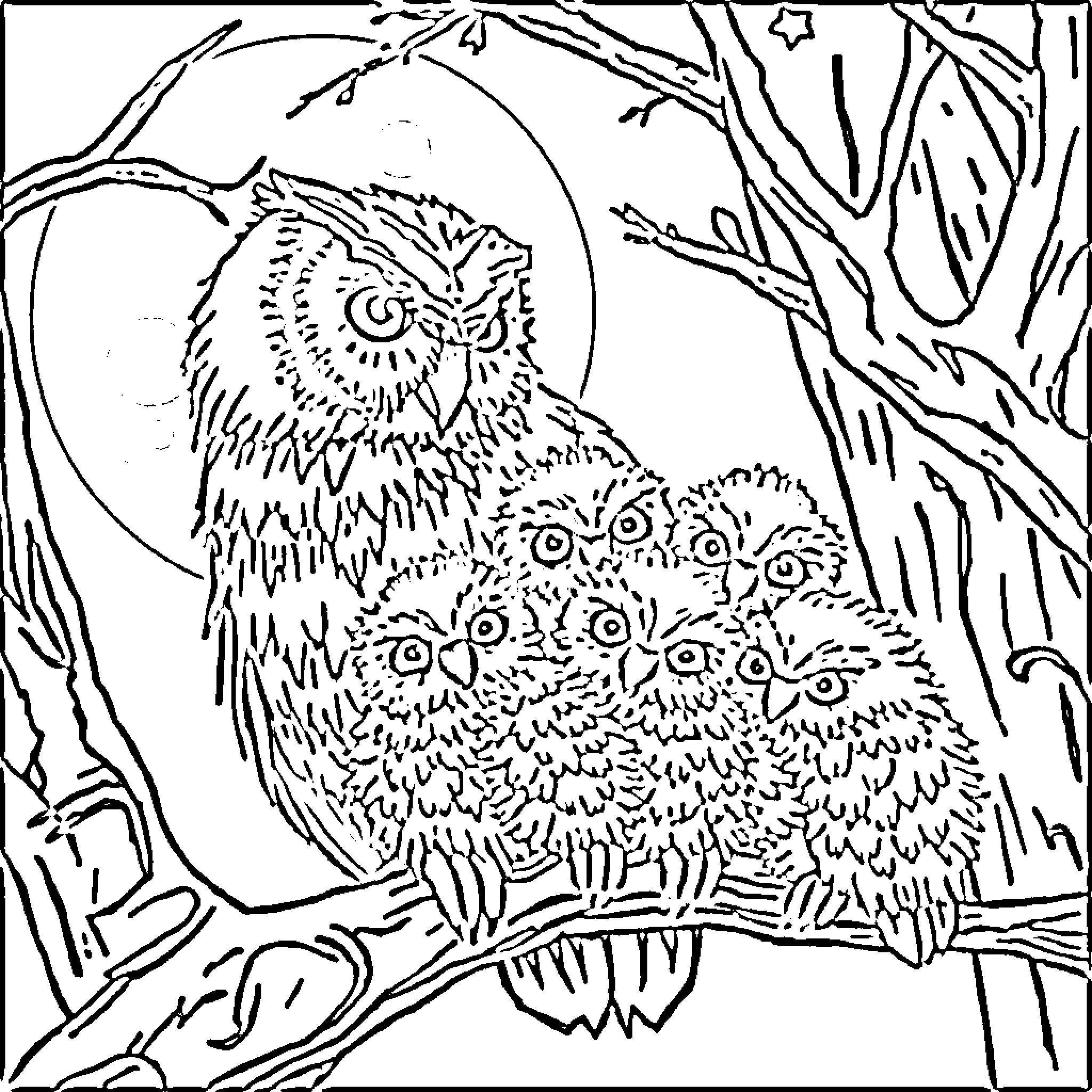 Owl family in the moonlit forest Coloring Page (free black-and-white line drawing printable PDF for all, from beginners to advanced learners, including children, teens, adults, and seniors)