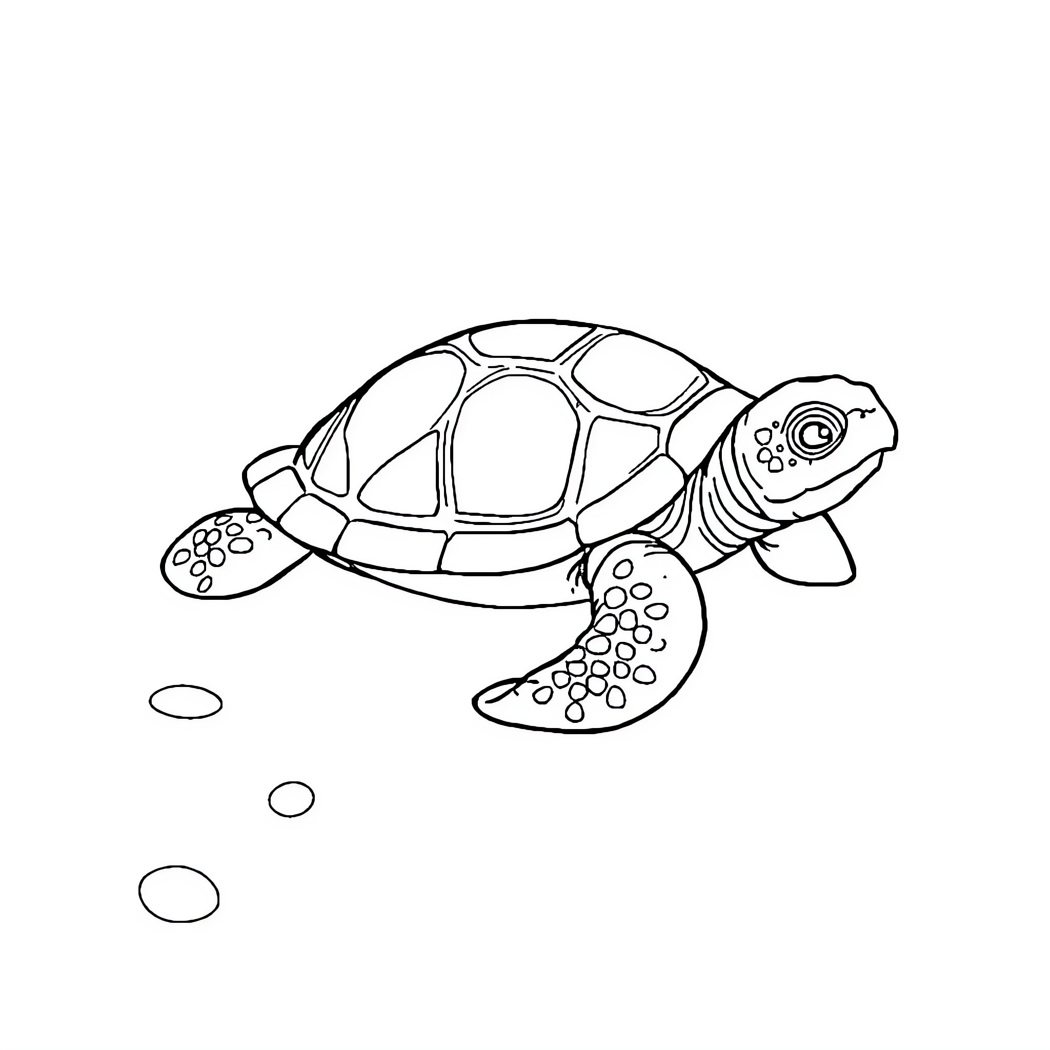 Turtle swimming gracefully through the ocean Coloring Page (free black-and-white line drawing printable PDF for all, from beginners to advanced learners, including children, teens, adults, and seniors)