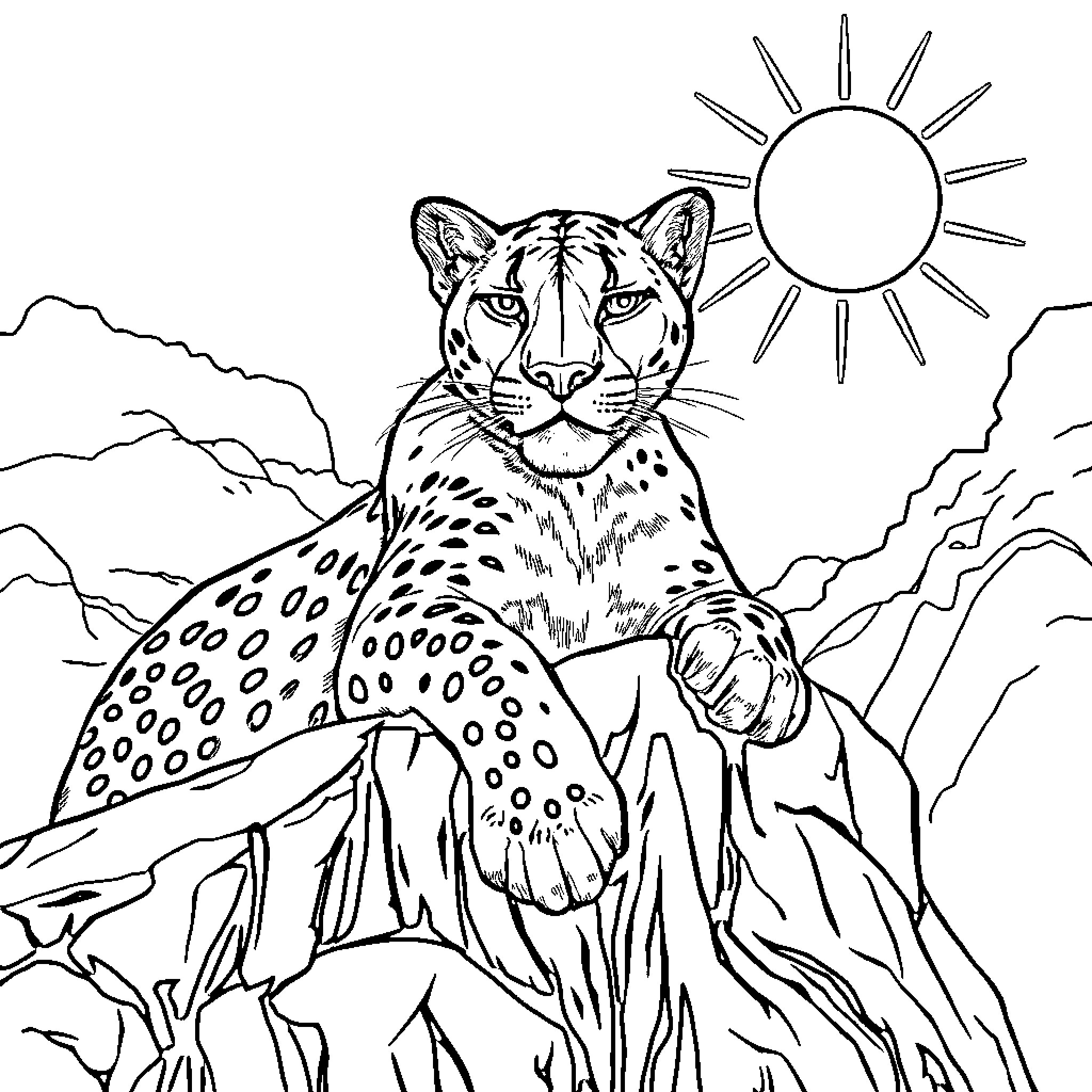 Cougar Resting Under the Bright Sun Coloring Page (free black-and-white line drawing printable PDF for all, from beginners to advanced learners, including children, teens, adults, and seniors)