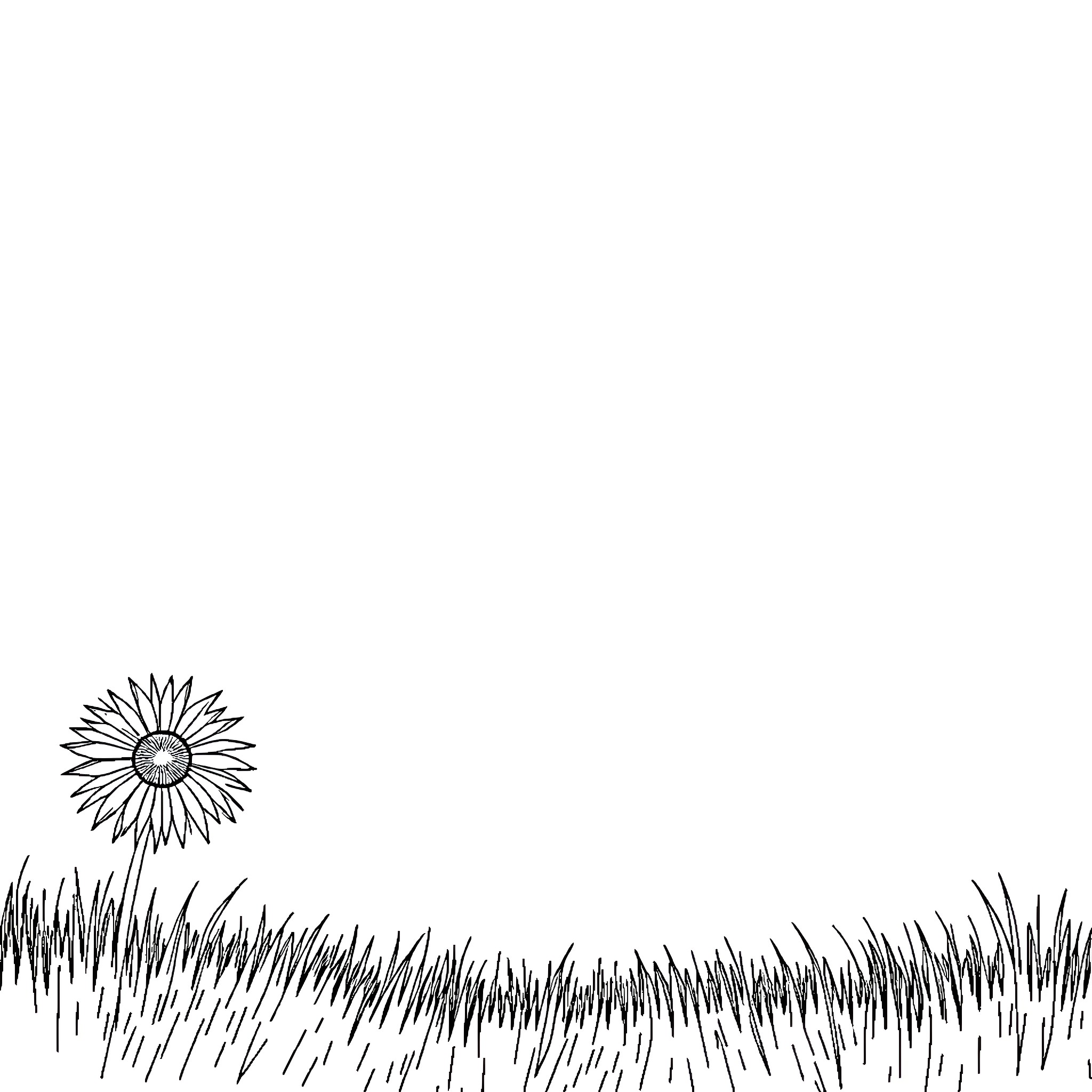 Summer Flowers Blooming in the Meadow Coloring Page (free black-and-white line drawing printable PDF for all, from beginners to advanced learners, including children, teens, adults, and seniors)