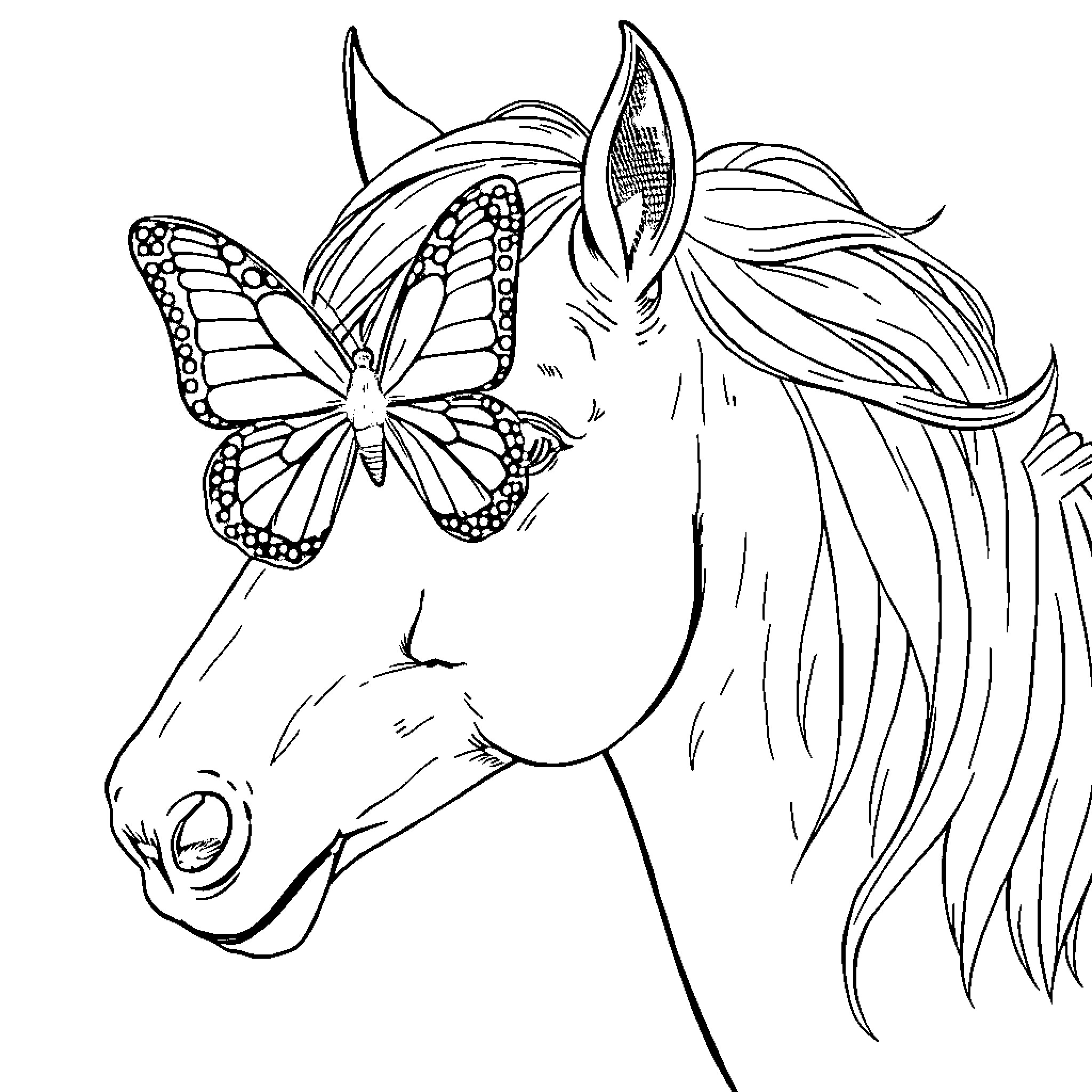 Butterfly and Majestic Unicorn Coloring Page (free black-and-white line drawing printable PDF for all, from beginners to advanced learners, including children, teens, adults, and seniors)