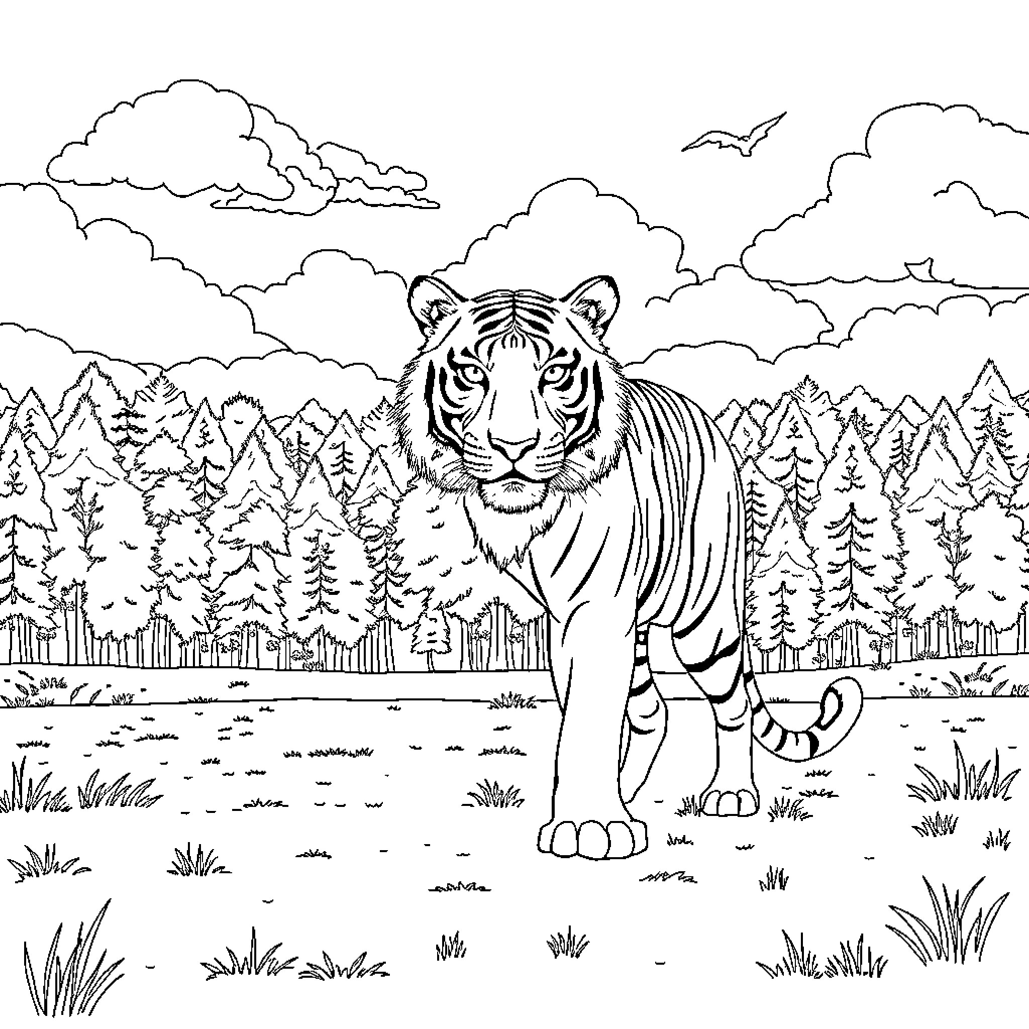 Tiger stalking through the wilderness Coloring Page (free black-and-white line drawing printable PDF for all, from beginners to advanced learners, including children, teens, adults, and seniors)