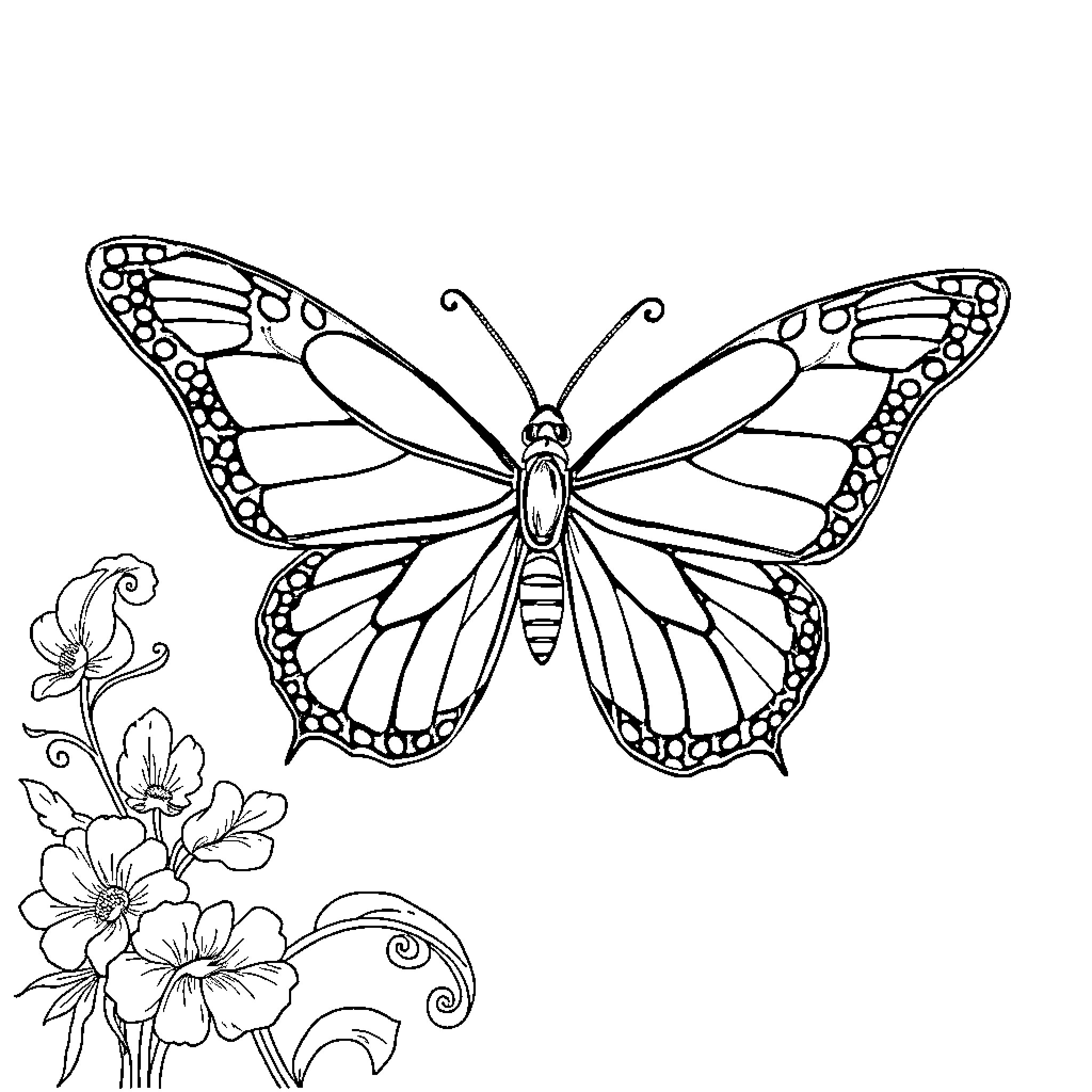 Butterfly delicately resting among floral decorations Coloring Page (free black-and-white line drawing printable PDF for all, from beginners to advanced learners, including children, teens, adults, and seniors)
