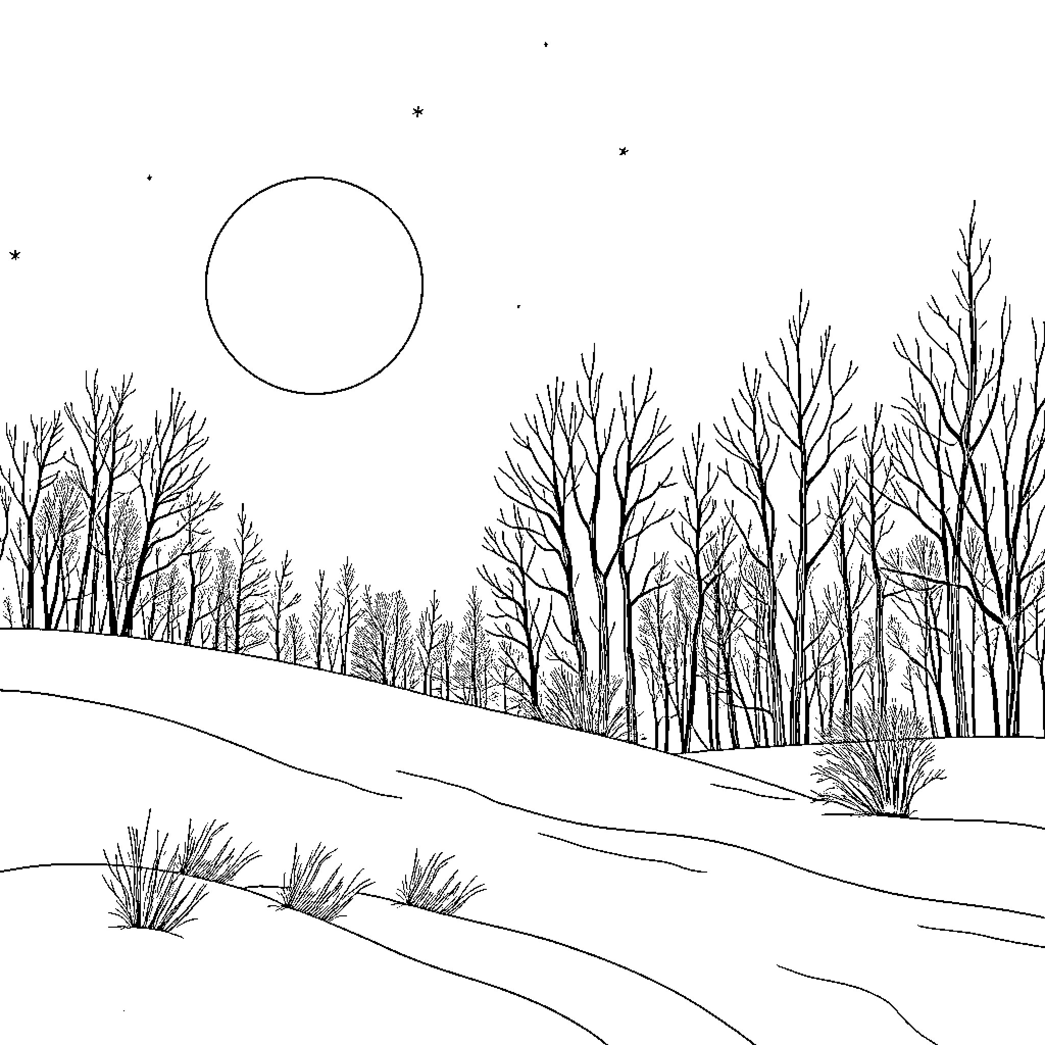 Winter Landscape with Bare Trees and Starry Sky Coloring Page (free black-and-white line drawing printable PDF for all, from beginners to advanced learners, including children, teens, adults, and seniors)