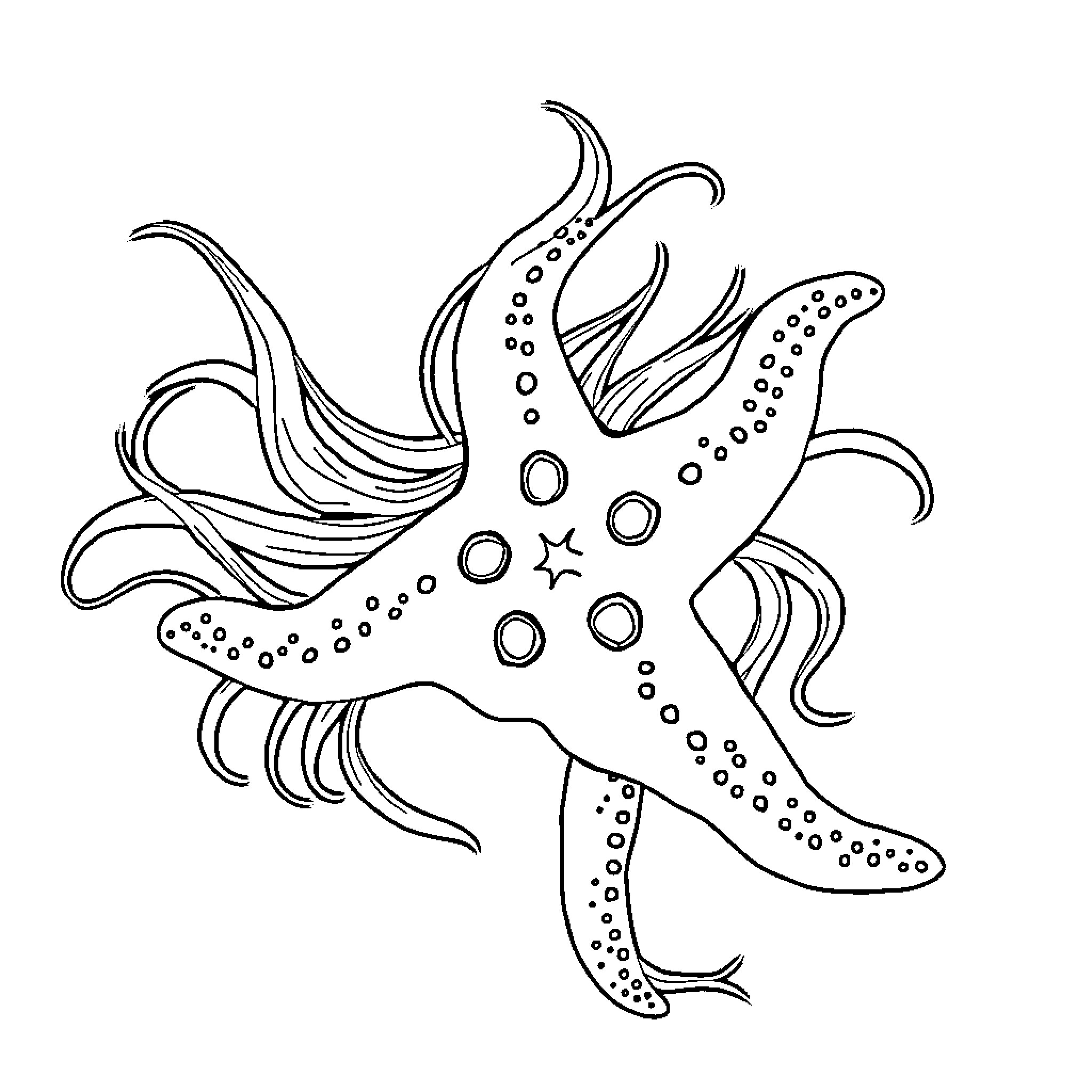 Starfish with intricate patterns swimming gracefully Coloring Page (free black-and-white line drawing printable PDF for all, from beginners to advanced learners, including children, teens, adults, and seniors)