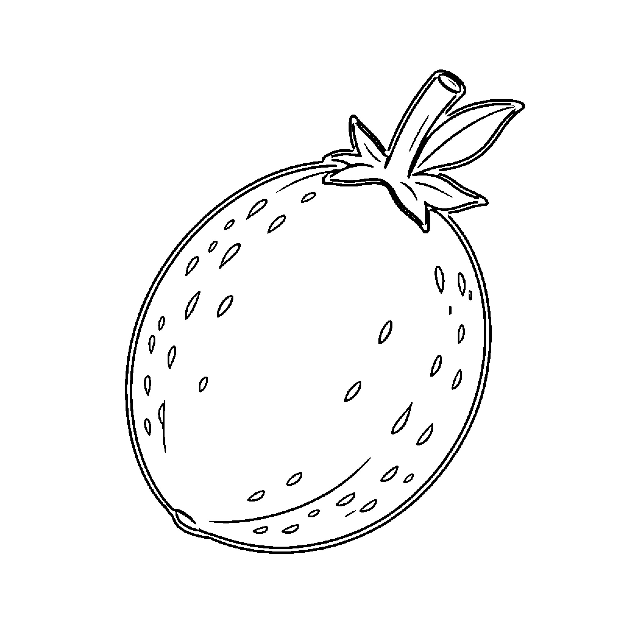 Fruit outlined in simple sketch style Coloring Page (free black-and-white line drawing printable PDF for all, from beginners to advanced learners, including children, teens, adults, and seniors)