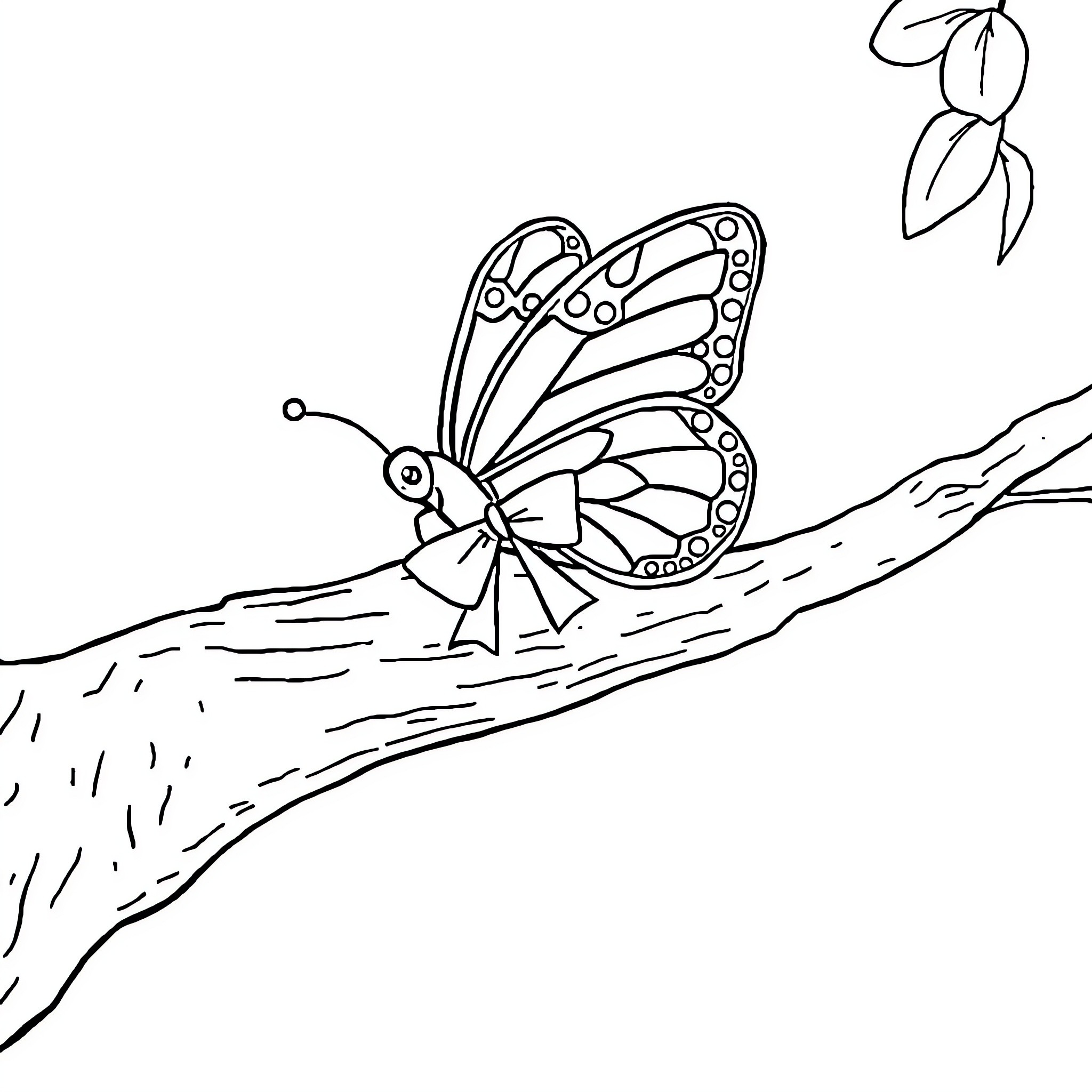 Butterfly resting on a branch Coloring Page (free black-and-white line drawing printable PDF for all, from beginners to advanced learners, including children, teens, adults, and seniors)