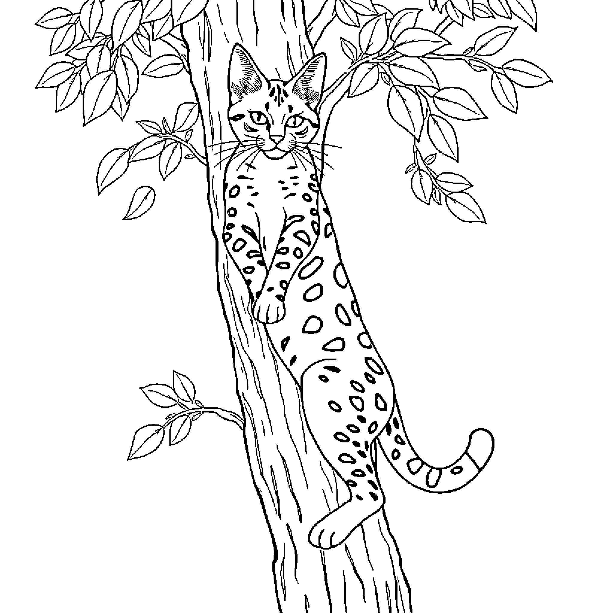 Serval resting on tree branch Coloring Page (free black-and-white line drawing printable PDF for all, from beginners to advanced learners, including children, teens, adults, and seniors)
