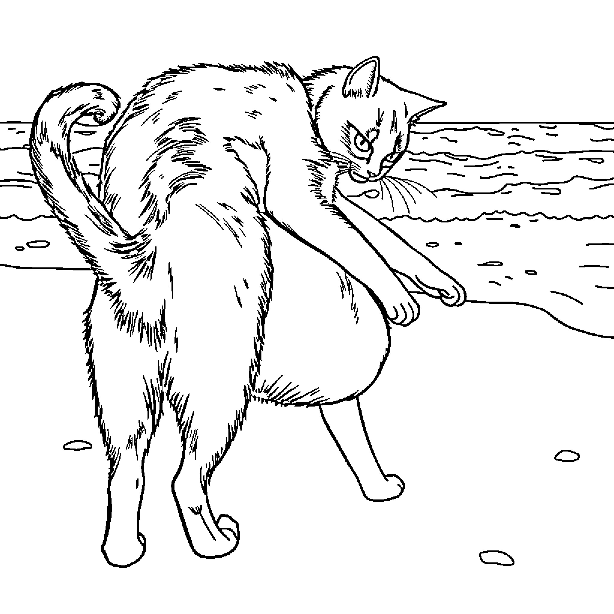 Cat enjoying a relaxing day at the beach Coloring Page (free black-and-white line drawing printable PDF for all, from beginners to advanced learners, including children, teens, adults, and seniors)