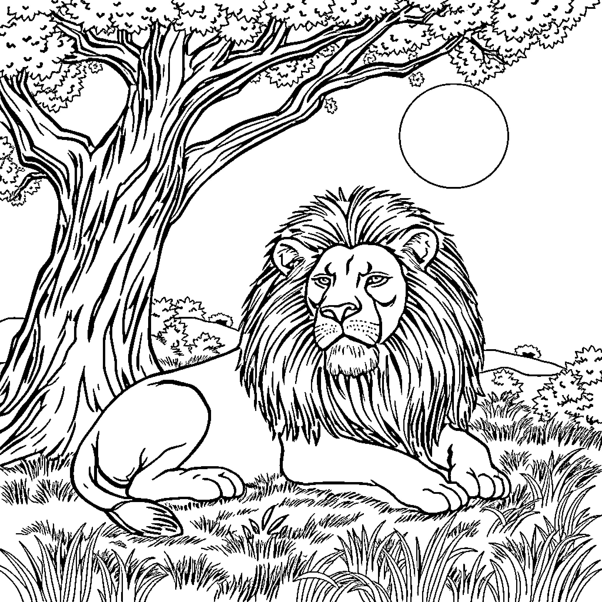 Lion resting peacefully in the wild Coloring Page (free black-and-white line drawing printable PDF for all, from beginners to advanced learners, including children, teens, adults, and seniors)