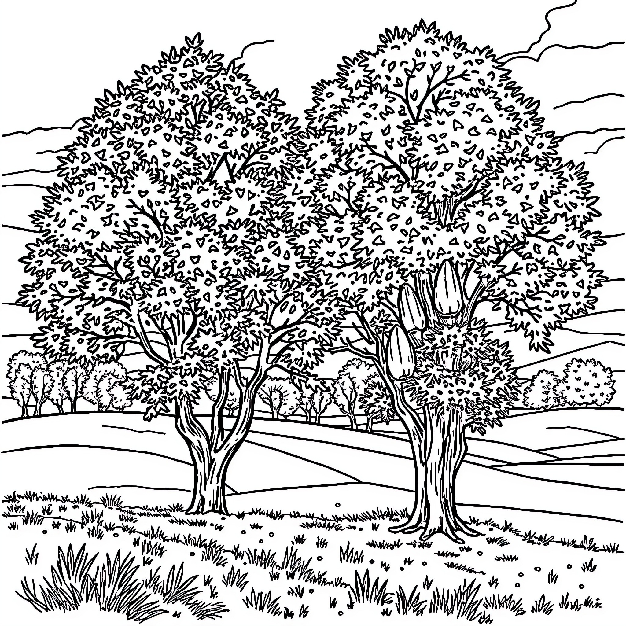 Tree Silhouettes in Tranquil Landscape Coloring Page (free black-and-white line drawing printable PDF for all, from beginners to advanced learners, including children, teens, adults, and seniors)