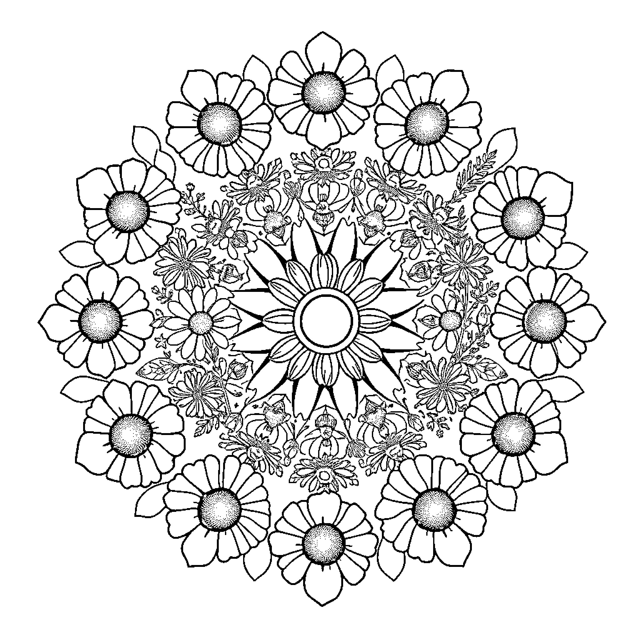 Daisy floral mandala with intricate designs Coloring Page (free black-and-white line drawing printable PDF for all, from beginners to advanced learners, including children, teens, adults, and seniors)