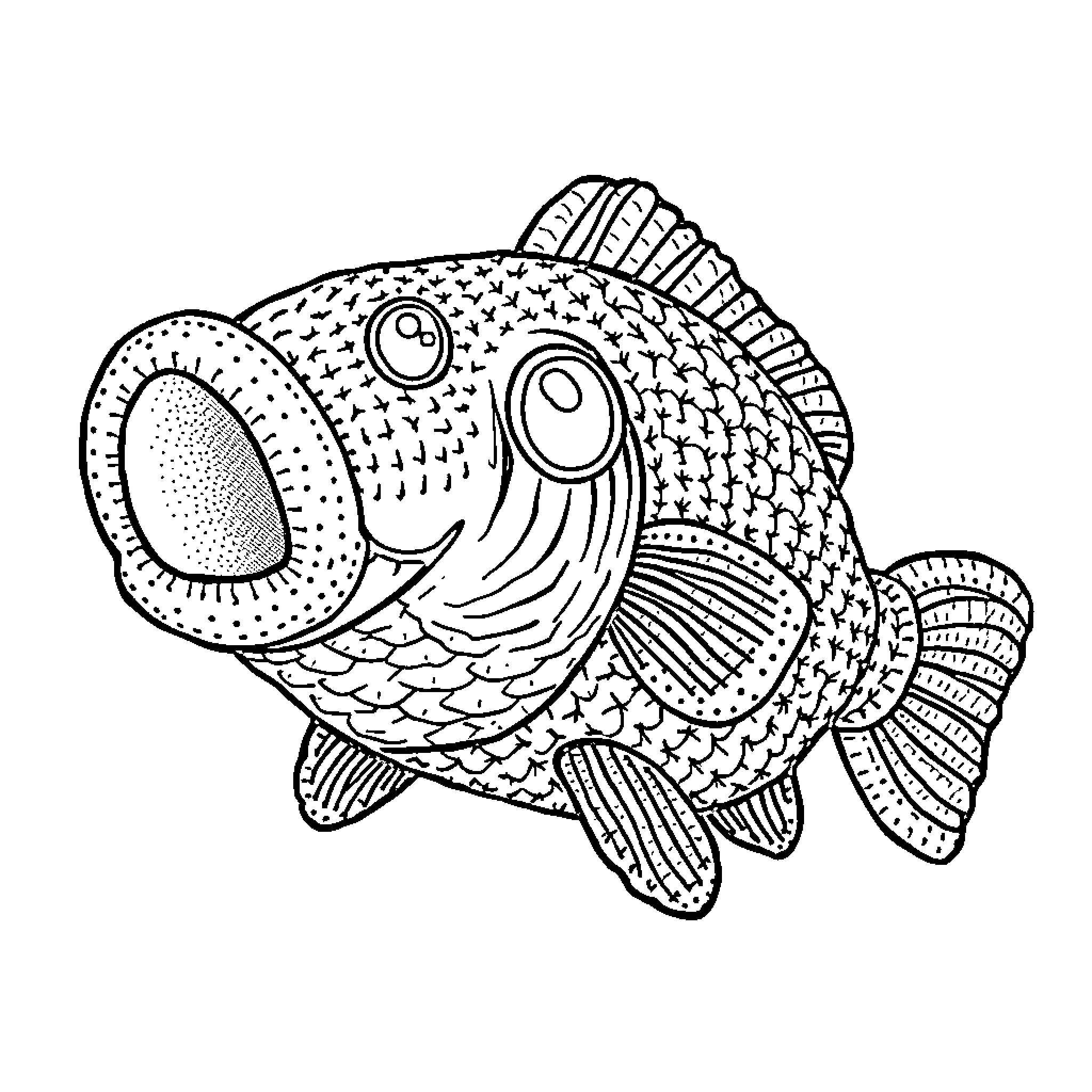 Bass fish swimming with detailed patterns Coloring Page (free black-and-white line drawing printable PDF for all, from beginners to advanced learners, including children, teens, adults, and seniors)