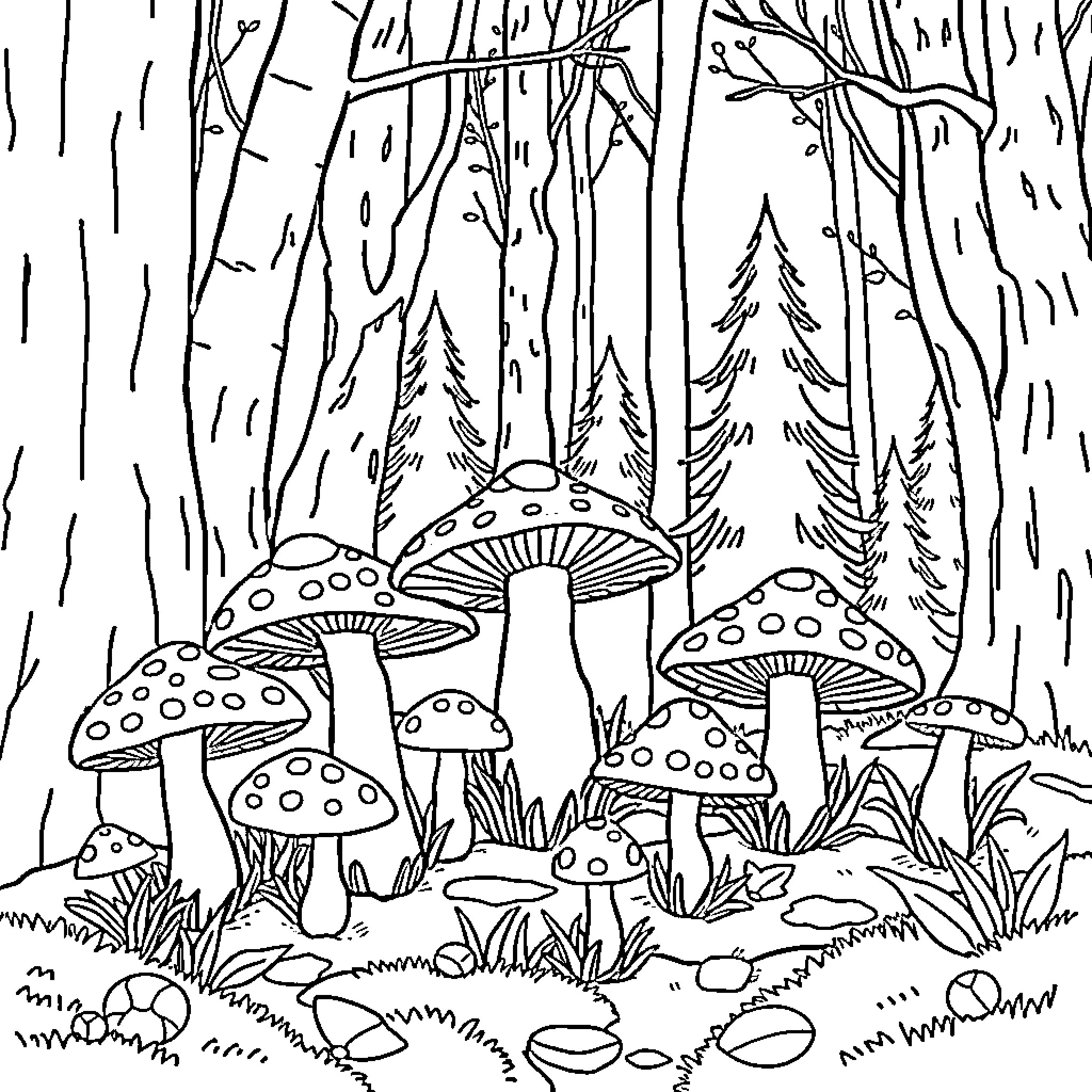 Mushroom Forest Adventure Coloring Page (free black-and-white line drawing printable PDF for all, from beginners to advanced learners, including children, teens, adults, and seniors)