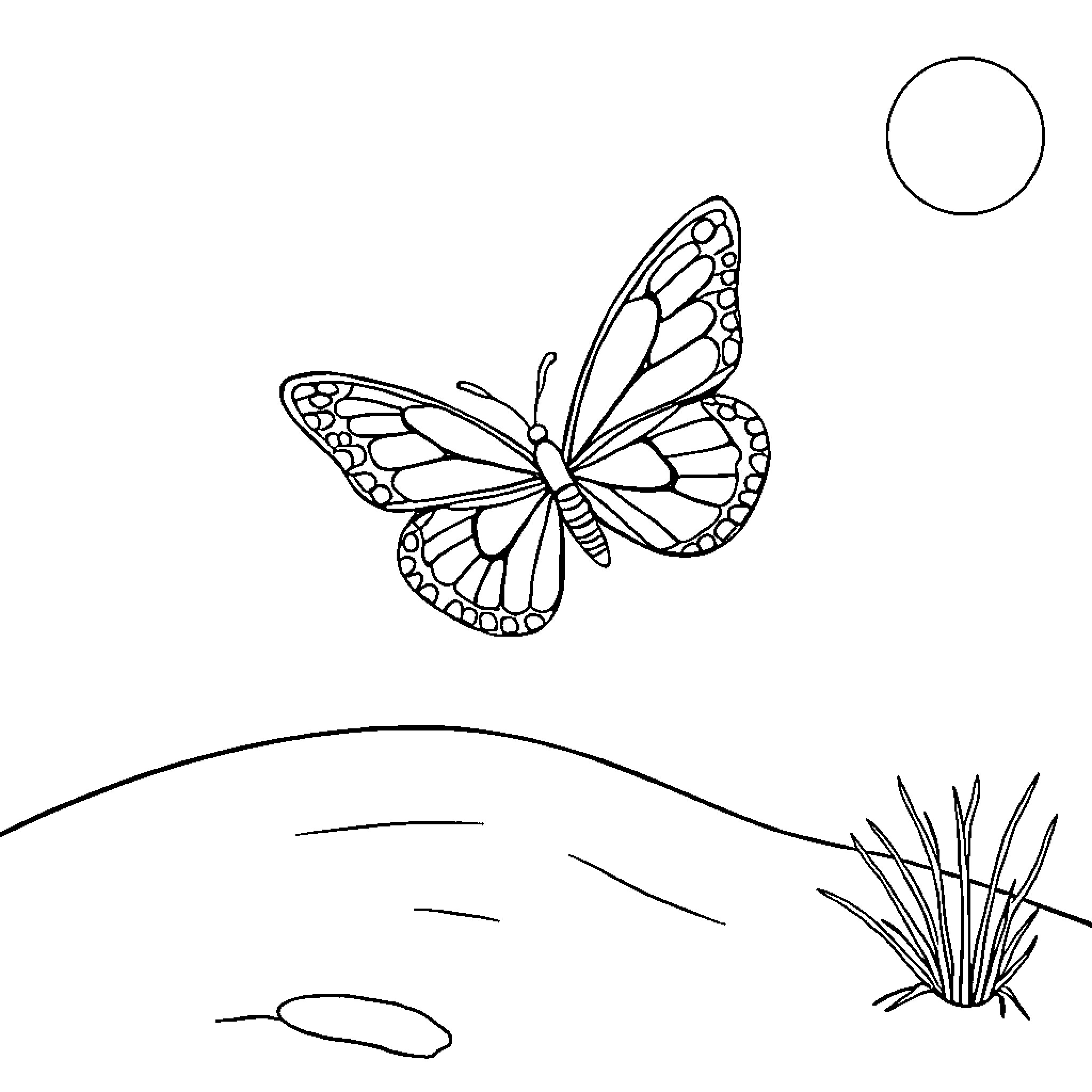 Butterfly flying over a landscape Coloring Page (free black-and-white line drawing printable PDF for all, from beginners to advanced learners, including children, teens, adults, and seniors)