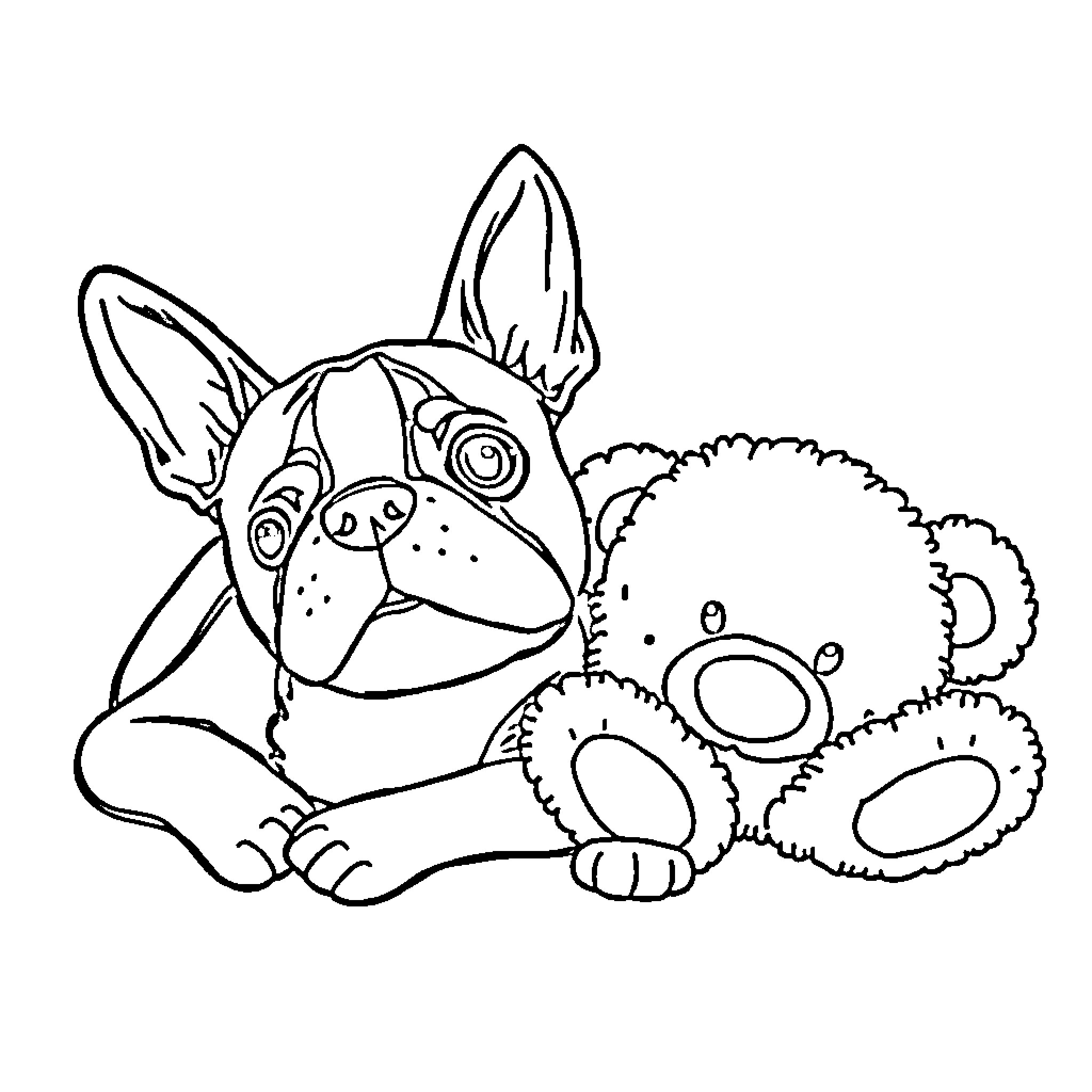 Boston Terrier playing with Teddy Bear Coloring Page (free black-and-white line drawing printable PDF for all, from beginners to advanced learners, including children, teens, adults, and seniors)