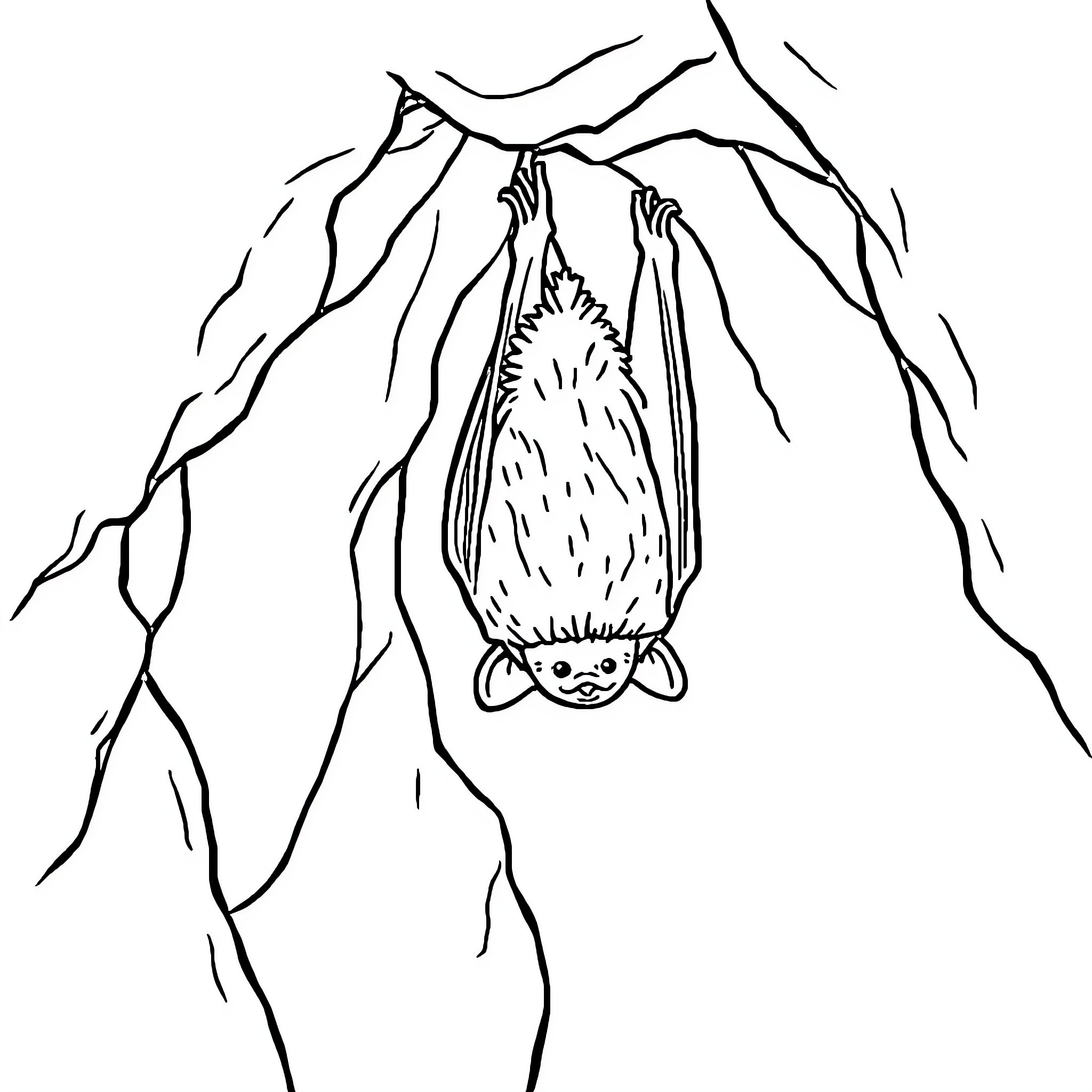 Bat hanging upside down in cave Coloring Page (free black-and-white line drawing printable PDF for all, from beginners to advanced learners, including children, teens, adults, and seniors)