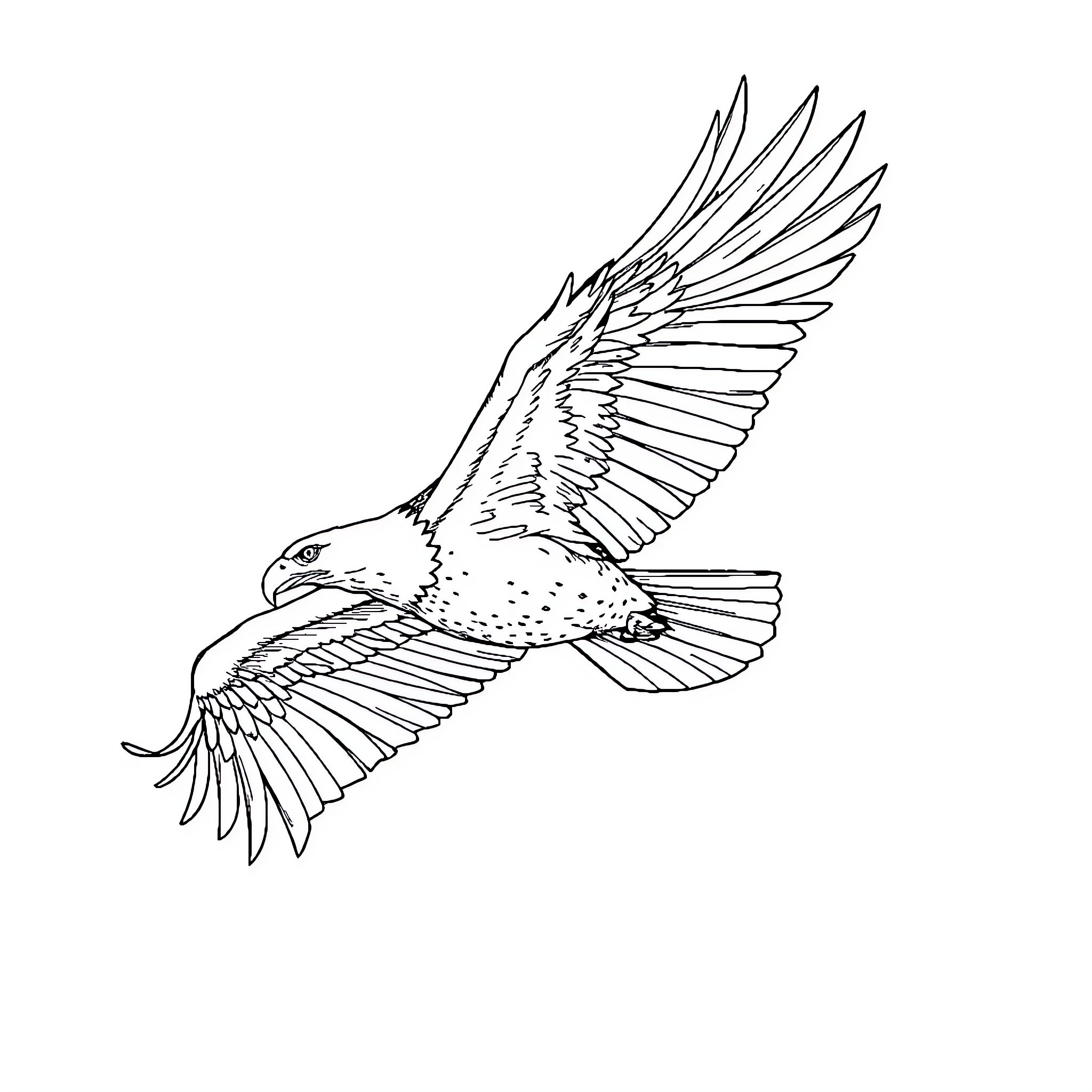 Eagle soaring with outstretched wings Coloring Page (free black-and-white line drawing printable PDF for all, from beginners to advanced learners, including children, teens, adults, and seniors)