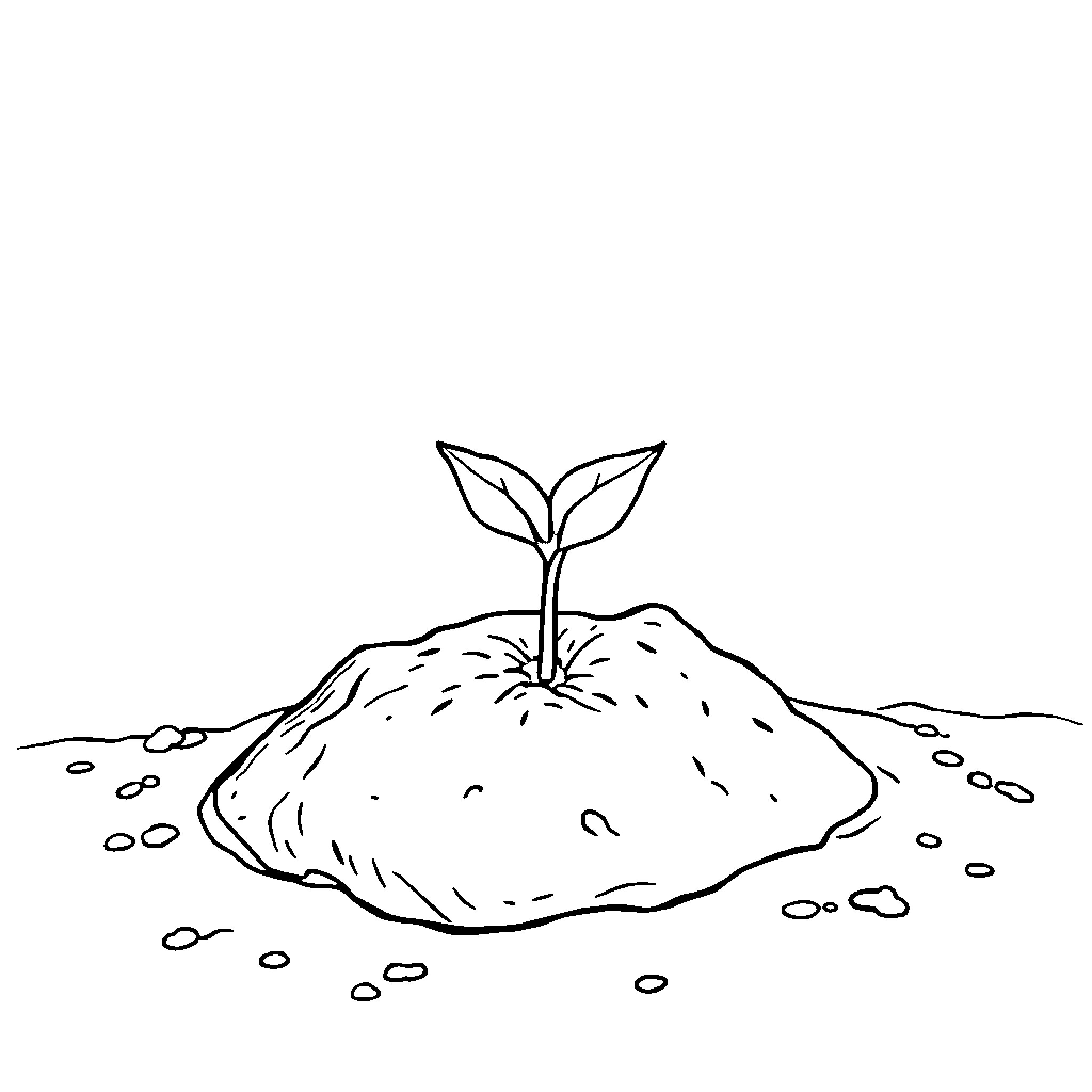 Seed sprouting from soil Coloring Page (free black-and-white line drawing printable PDF for all, from beginners to advanced learners, including children, teens, adults, and seniors)