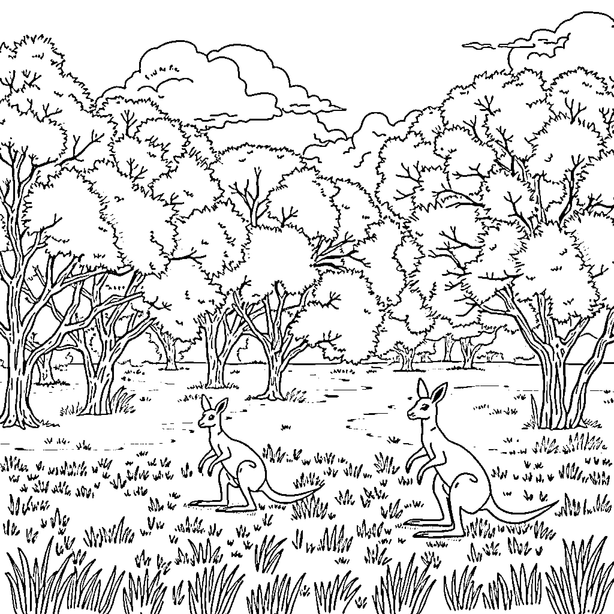 Australia Landscape with Kangaroos in the Wild Coloring Page (free black-and-white line drawing printable PDF for all, from beginners to advanced learners, including children, teens, adults, and seniors)