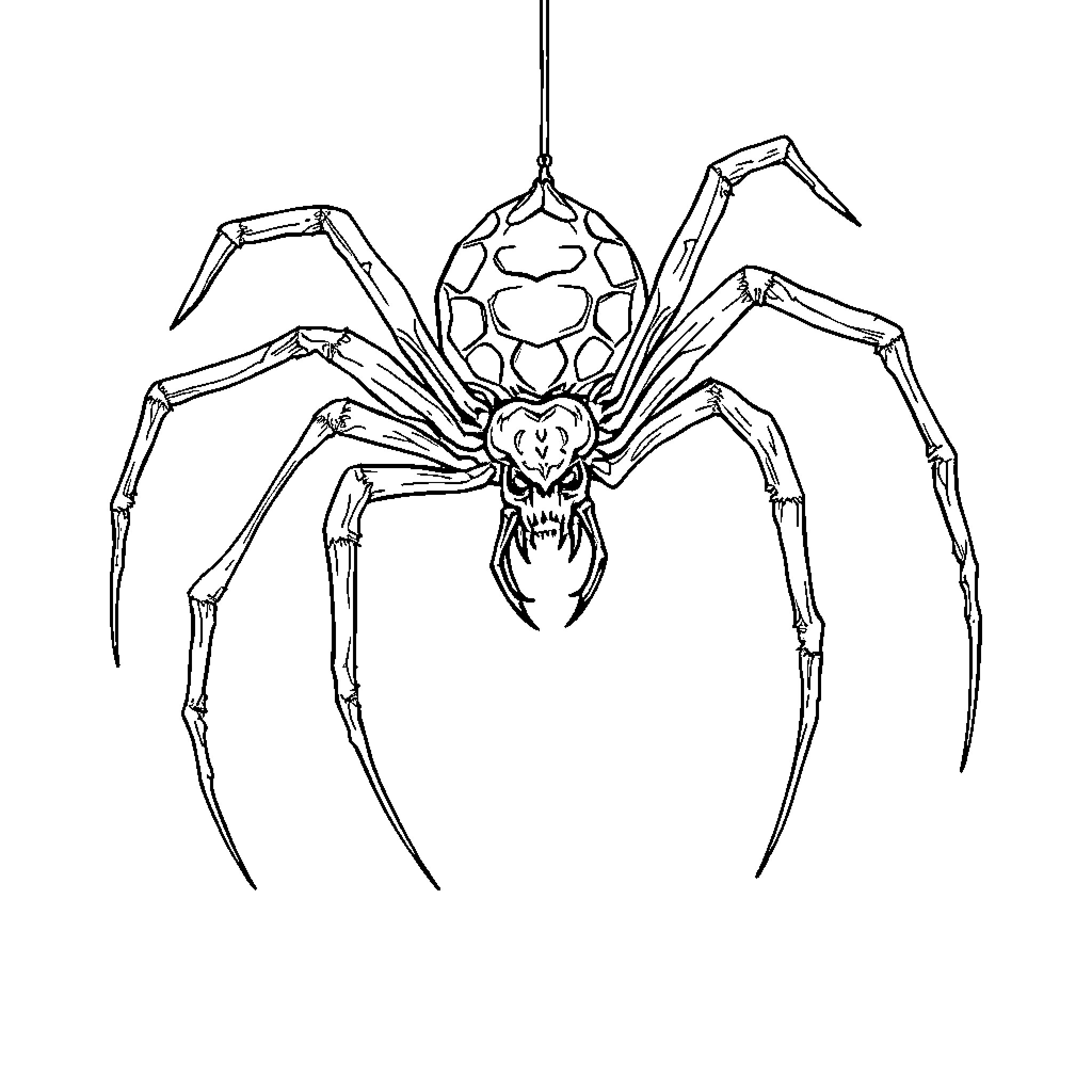 Spider with fearsome fangs and long legs Coloring Page (free black-and-white line drawing printable PDF for all, from beginners to advanced learners, including children, teens, adults, and seniors)