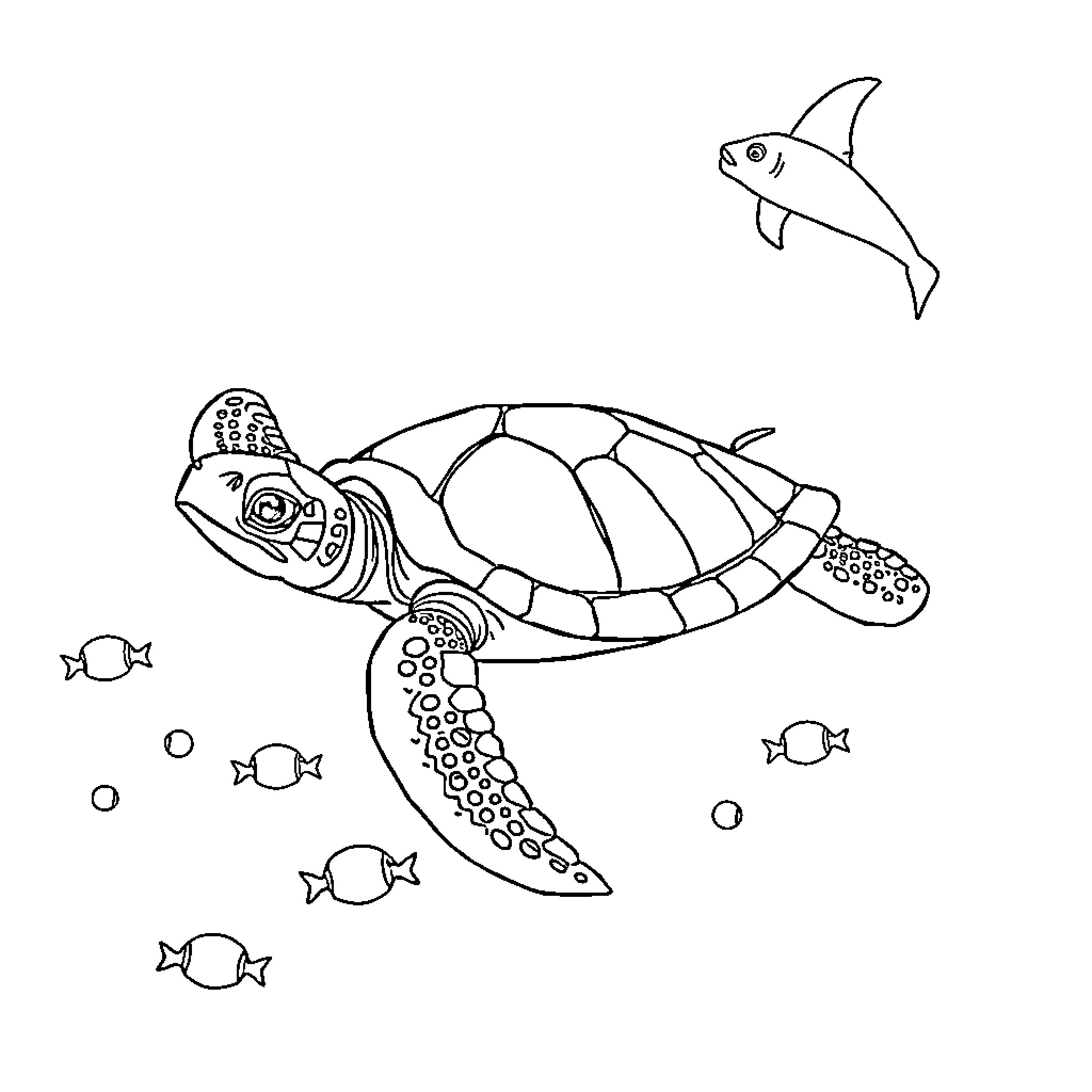 Turtle swimming with fish in the ocean Coloring Page (free black-and-white line drawing printable PDF for all, from beginners to advanced learners, including children, teens, adults, and seniors)