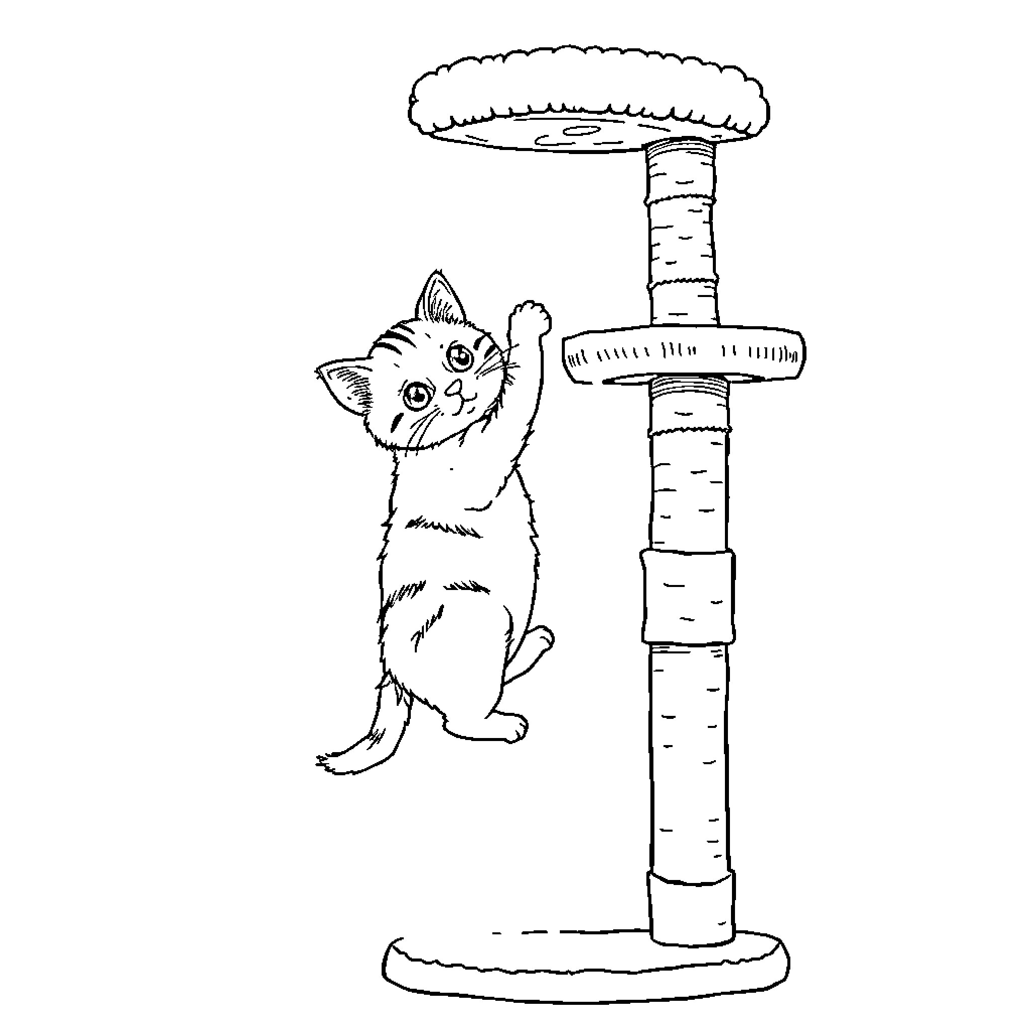 Kitten exploring cat tower with curiosity Coloring Page (free black-and-white line drawing printable PDF for all, from beginners to advanced learners, including children, teens, adults, and seniors)
