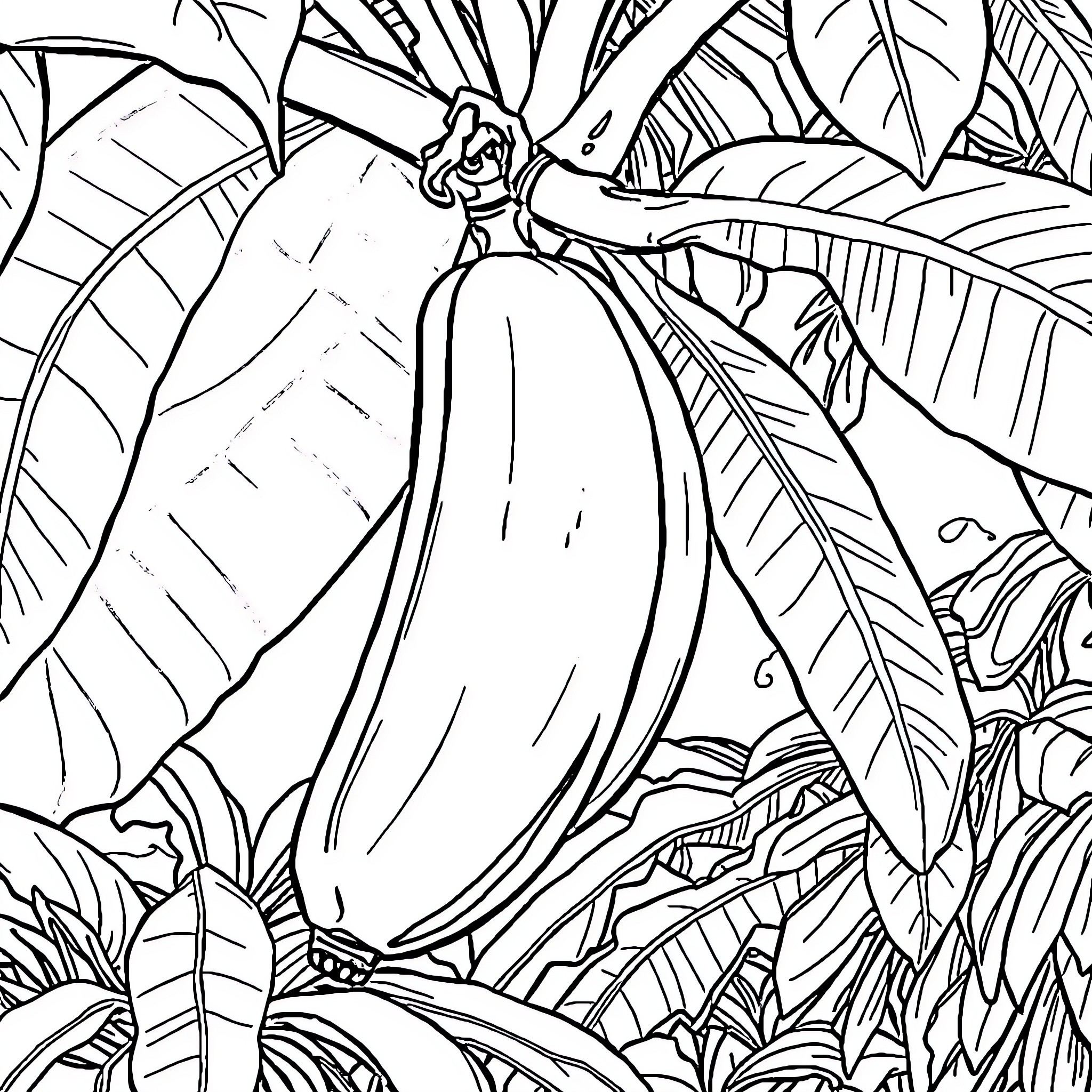 Banana growing in lush tropical garden Coloring Page (free black-and-white line drawing printable PDF for all, from beginners to advanced learners, including children, teens, adults, and seniors)