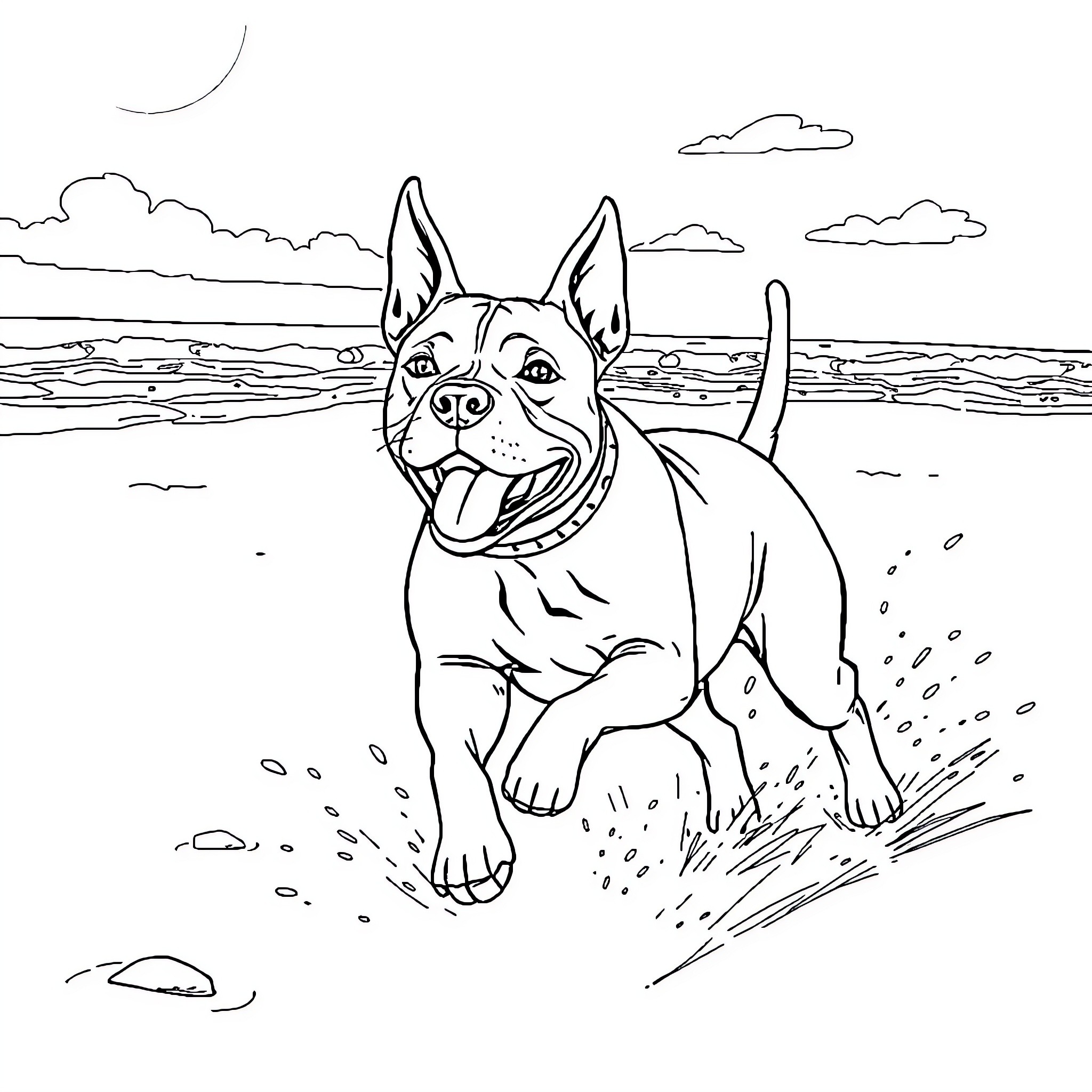 Pitbull enjoying a beach day Coloring Page (free black-and-white line drawing printable PDF for all, from beginners to advanced learners, including children, teens, adults, and seniors)