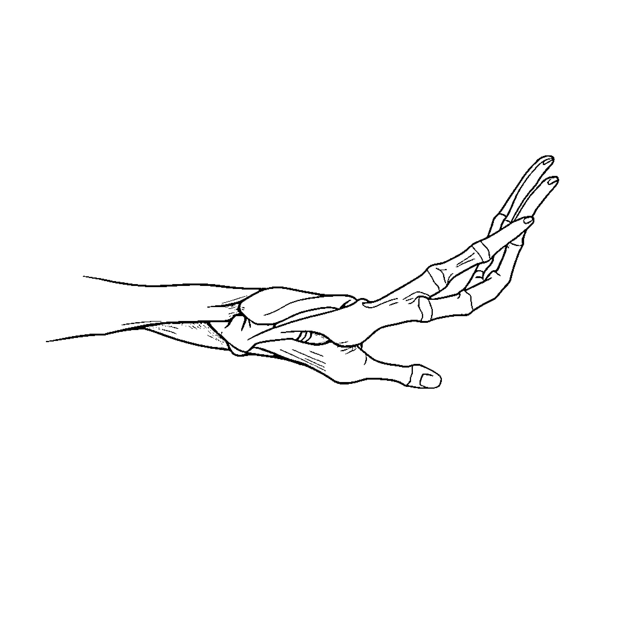 Muscle Pose of Graceful Dancer Coloring Page (free black-and-white line drawing printable PDF for all, from beginners to advanced learners, including children, teens, adults, and seniors)