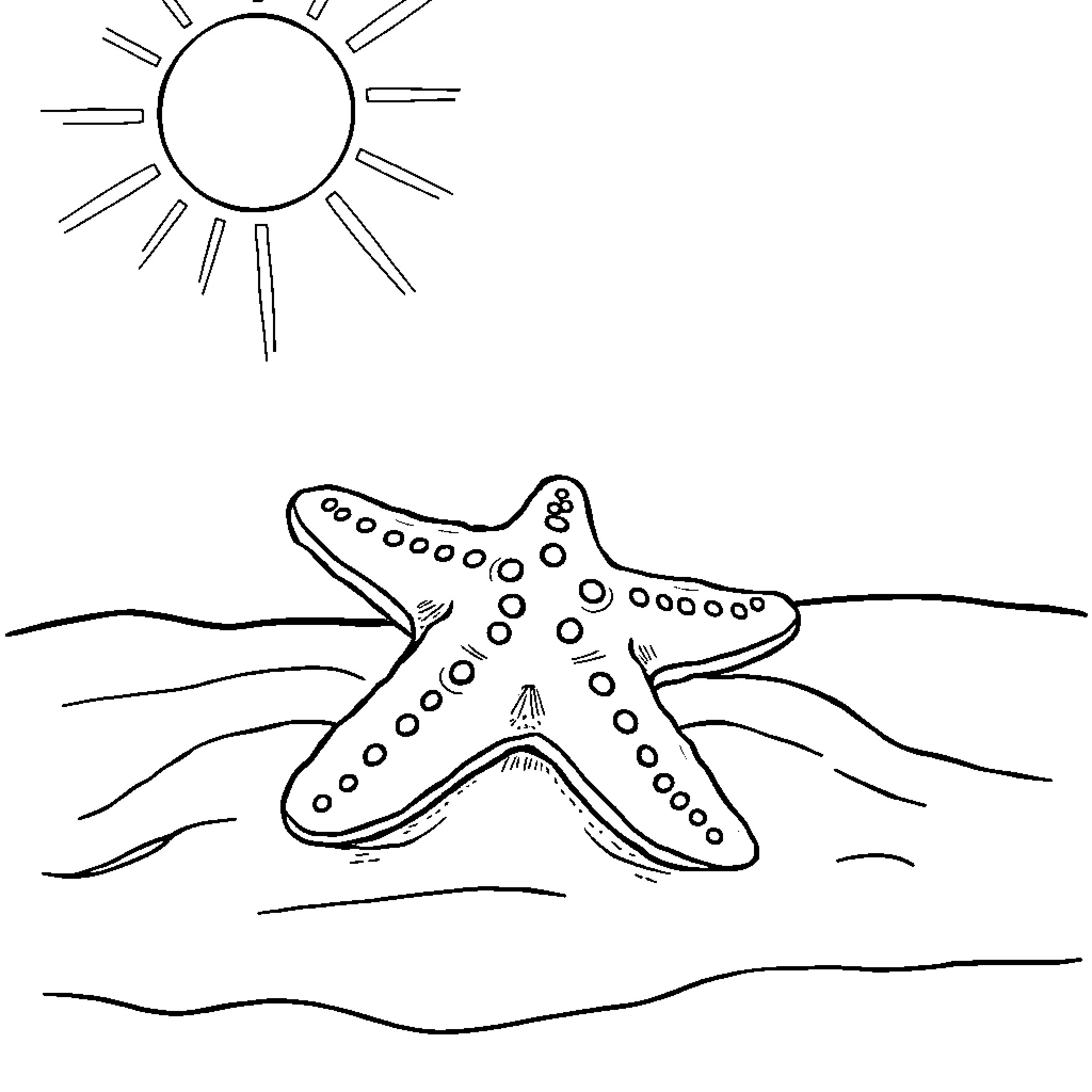 Starfish basking in the sun Coloring Page (free black-and-white line drawing printable PDF for all, from beginners to advanced learners, including children, teens, adults, and seniors)
