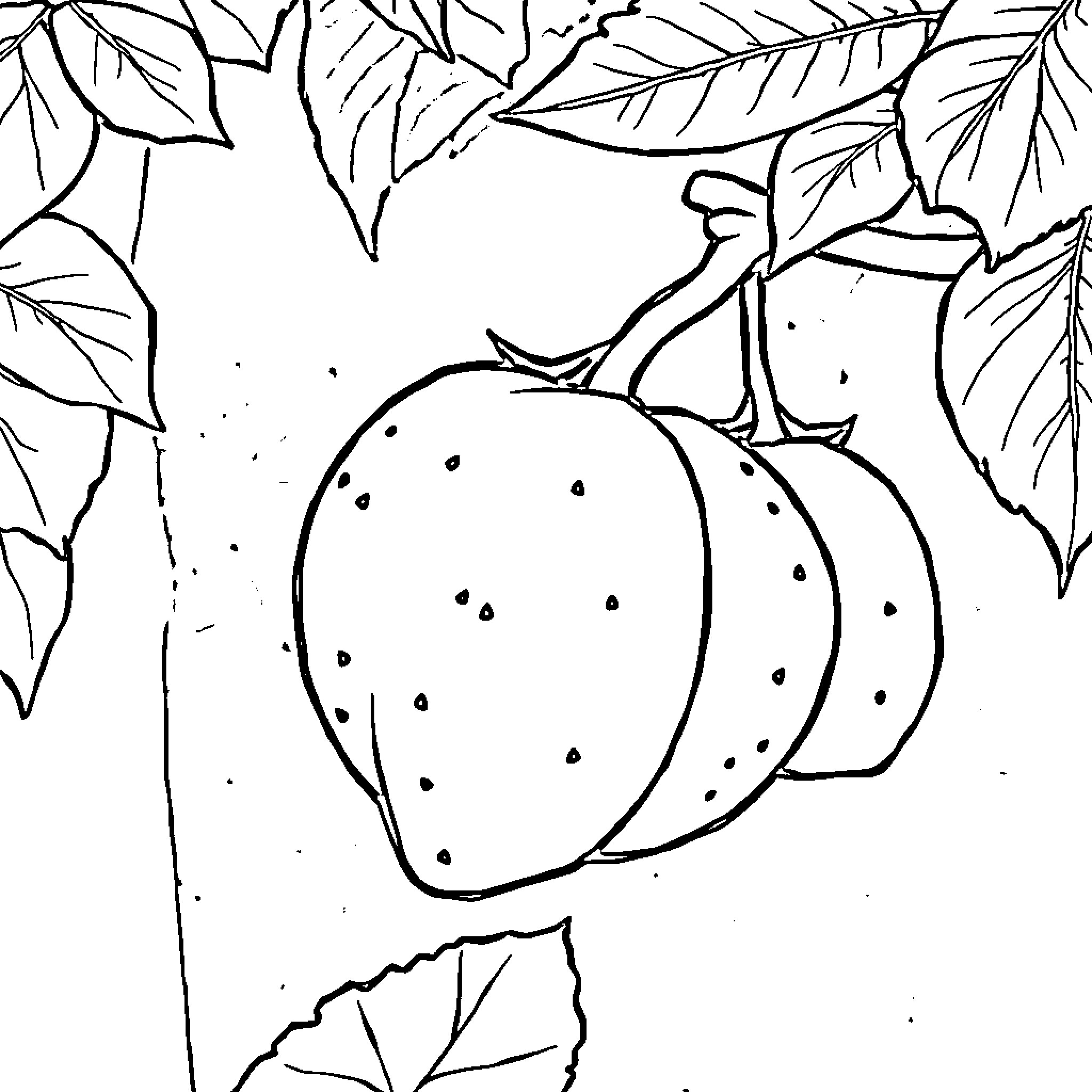 Fruit and Vegetable Scene with Leaves Coloring Page (free black-and-white line drawing printable PDF for all, from beginners to advanced learners, including children, teens, adults, and seniors)