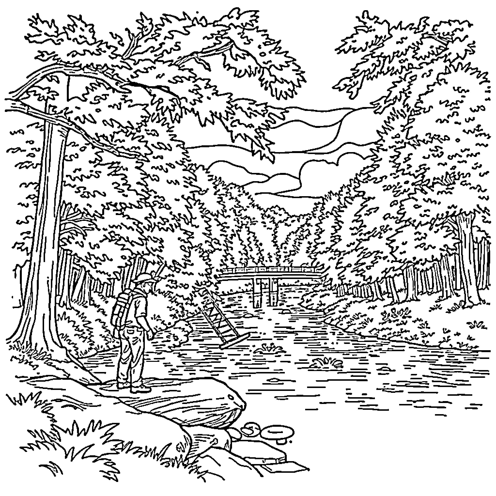 Givhans Ferry State Park scenic outdoor adventure Coloring Page (free black-and-white line drawing printable PDF for all, from beginners to advanced learners, including children, teens, adults, and seniors)