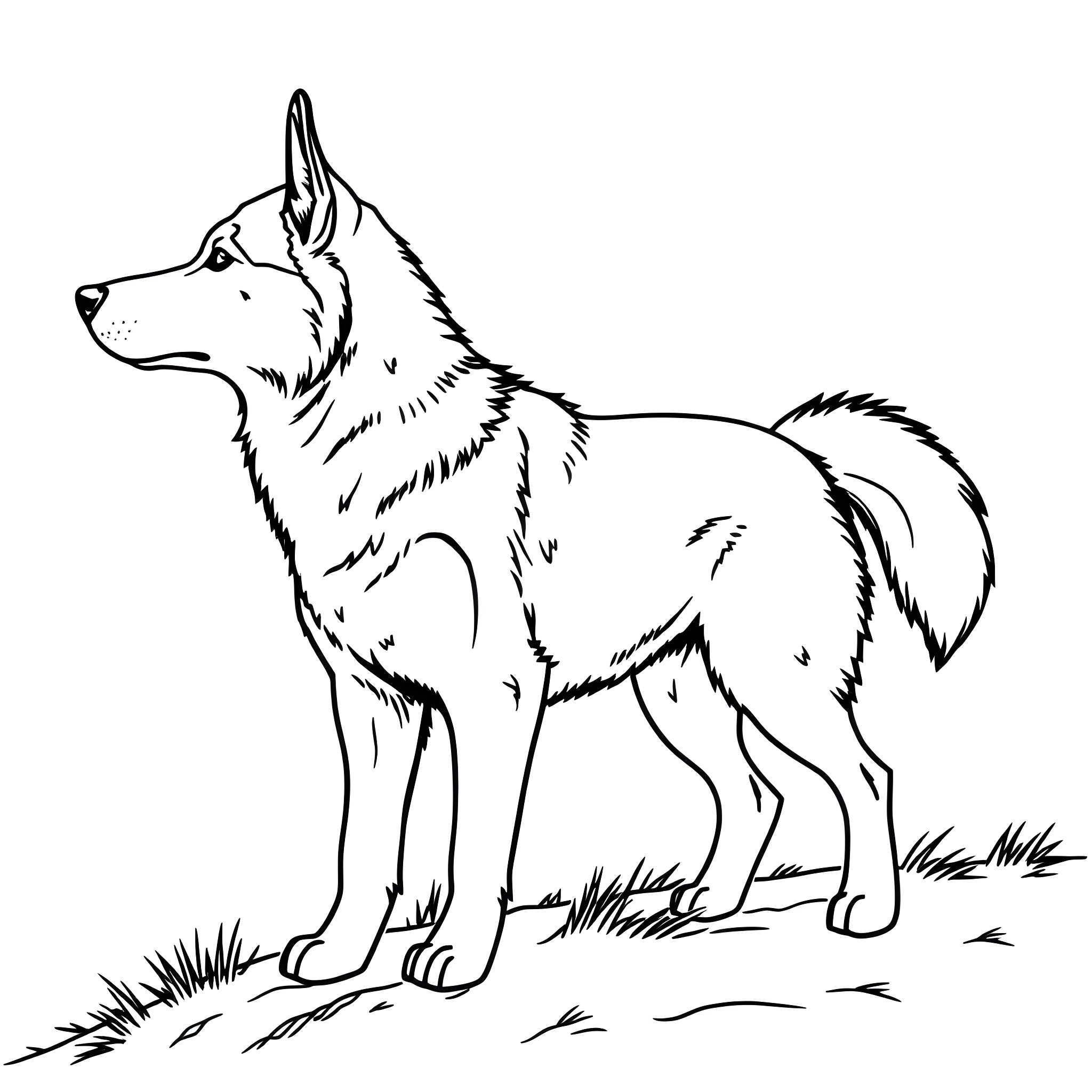 Husky dog standing outdoors Coloring Page (free black-and-white line drawing printable PDF for all, from beginners to advanced learners, including children, teens, adults, and seniors)