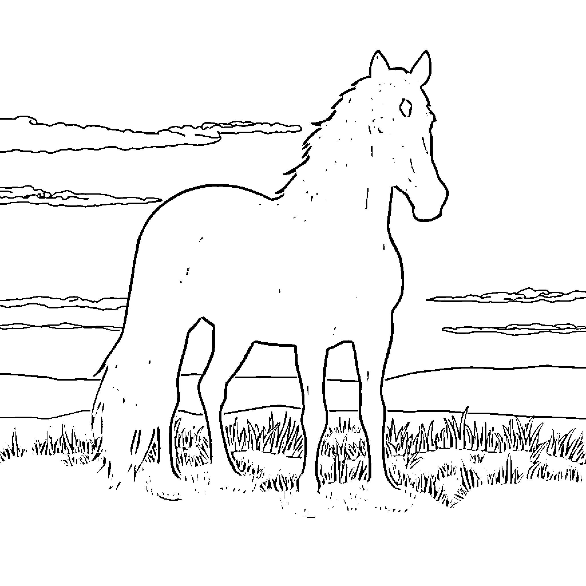 Horse standing in grassy meadow Coloring Page (free black-and-white line drawing printable PDF for all, from beginners to advanced learners, including children, teens, adults, and seniors)