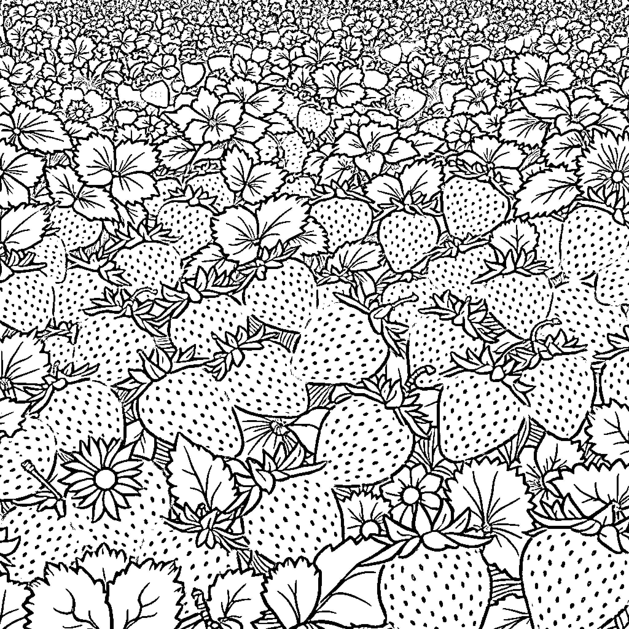 Strawberry Field with Floral Abundance Coloring Page (free black-and-white line drawing printable PDF for all, from beginners to advanced learners, including children, teens, adults, and seniors)