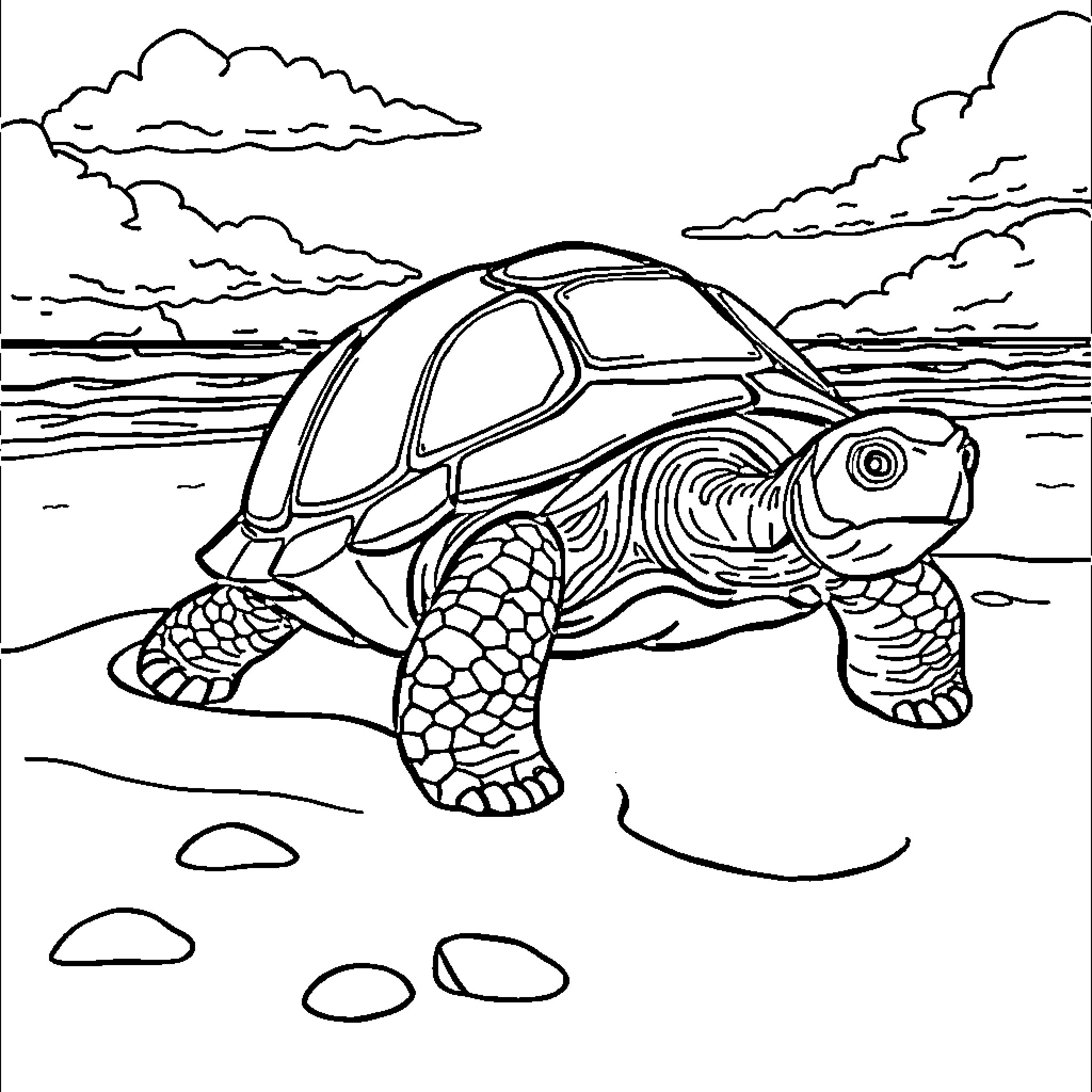 Turtle exploring the beach Coloring Page (free black-and-white line drawing printable PDF for all, from beginners to advanced learners, including children, teens, adults, and seniors)