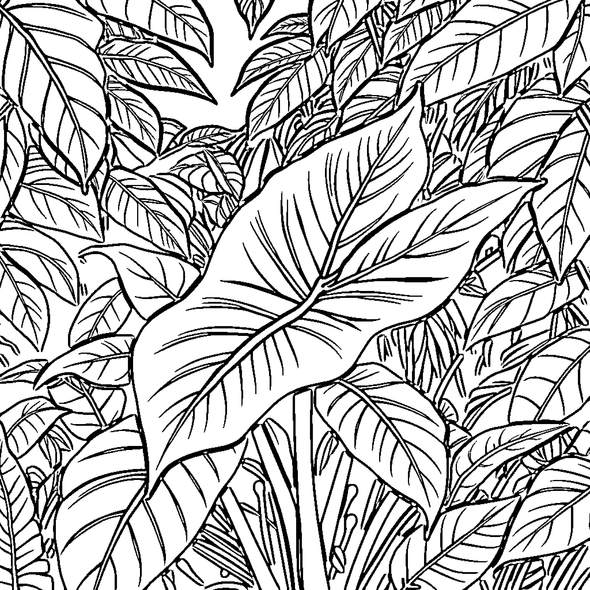 Monstera leaves in lush tropical foliage Coloring Page (free black-and-white line drawing printable PDF for all, from beginners to advanced learners, including children, teens, adults, and seniors)