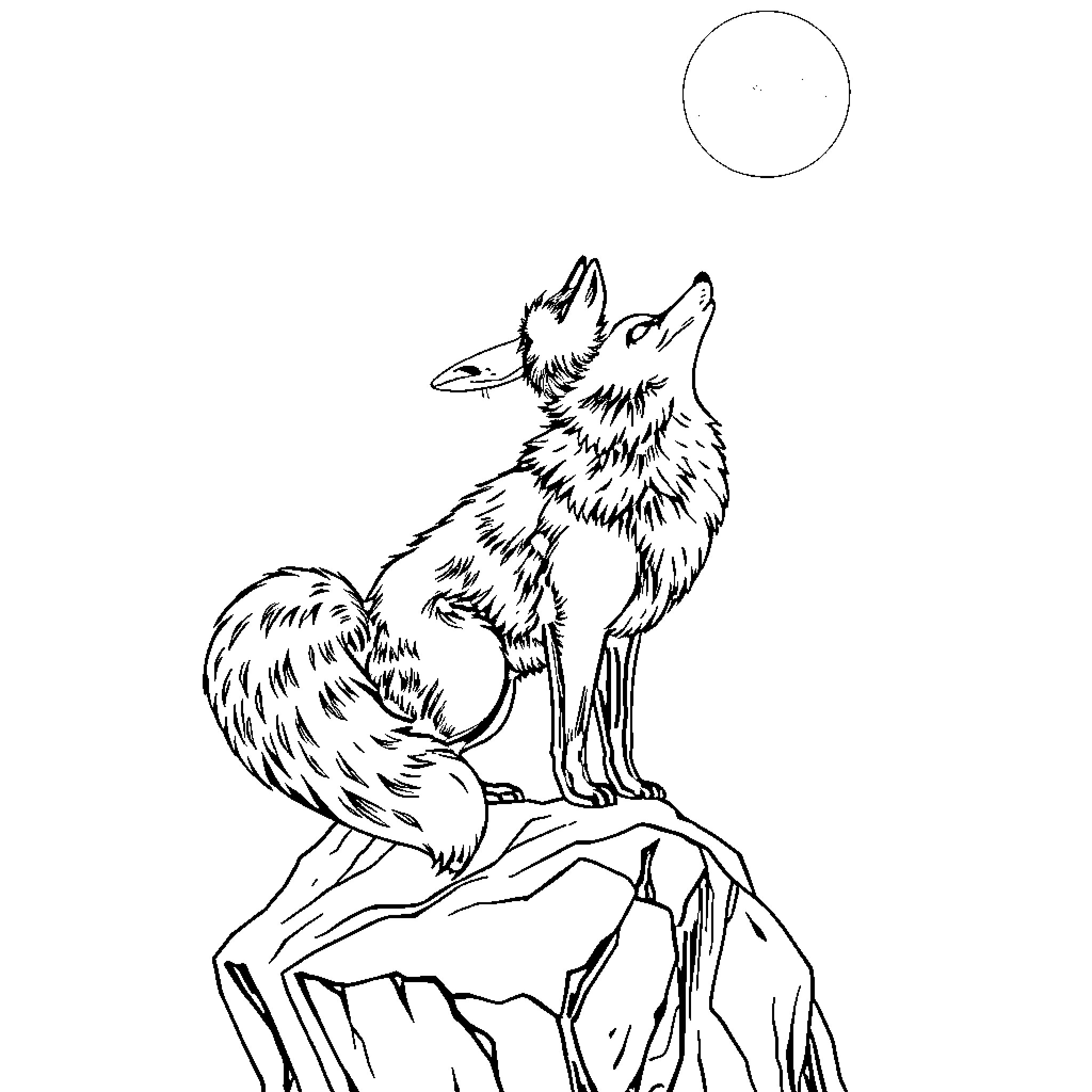Fox howling at the moon on a rocky ledge Coloring Page (free black-and-white line drawing printable PDF for all, from beginners to advanced learners, including children, teens, adults, and seniors)