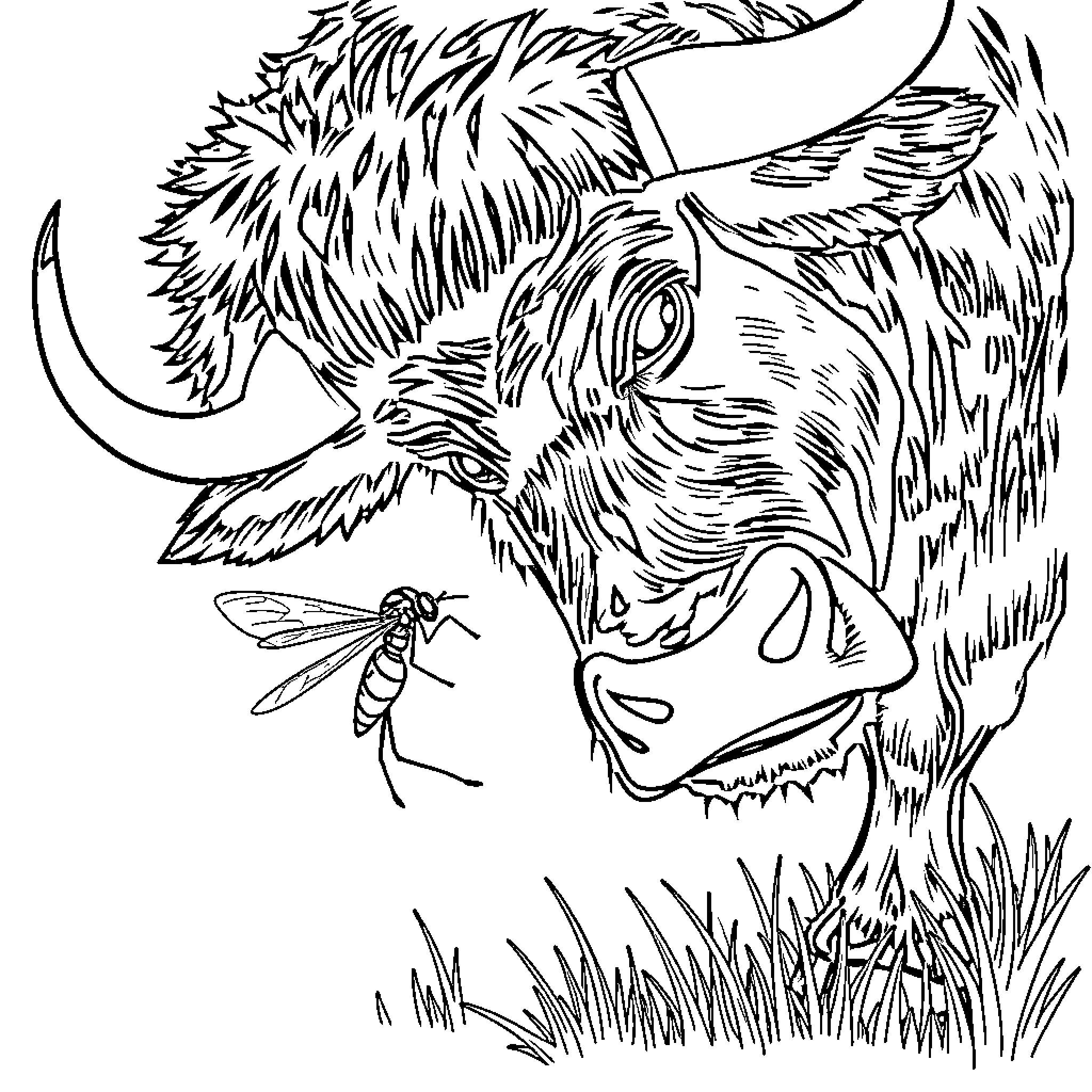 Mosquito annoying large hairy creature in the wild Coloring Page (free black-and-white line drawing printable PDF for all, from beginners to advanced learners, including children, teens, adults, and seniors)