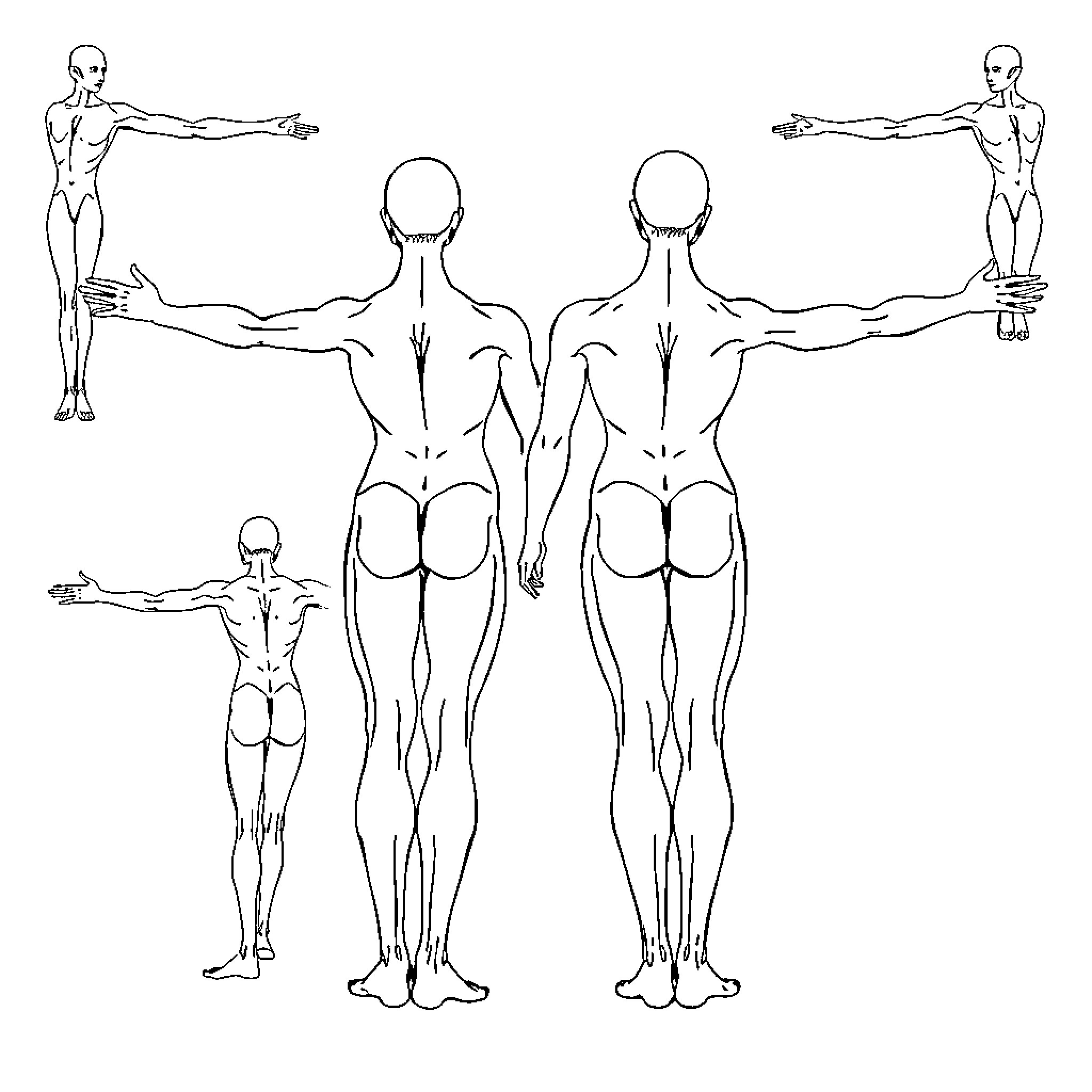 Body Plane Anatomical Diagram Coloring Page (free black-and-white line drawing printable PDF for all, from beginners to advanced learners, including children, teens, adults, and seniors)