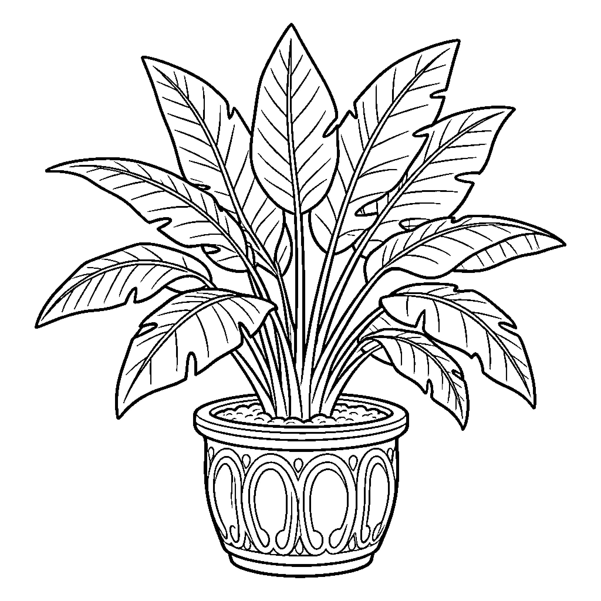 Houseplant growing lush leaves in a decorative pot Coloring Page (free black-and-white line drawing printable PDF for all, from beginners to advanced learners, including children, teens, adults, and seniors)