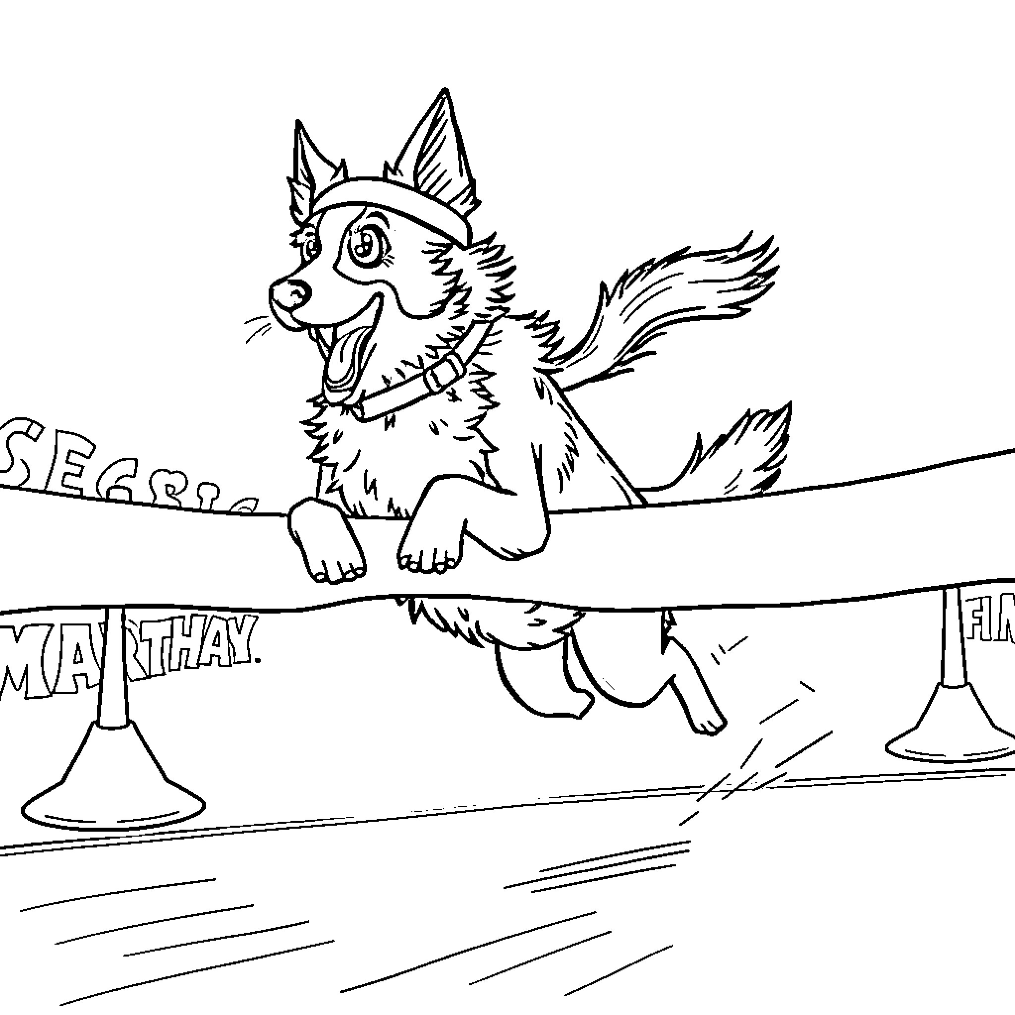 Border Collie Jumping Over Hurdle on Obstacle Course Coloring Page (free black-and-white line drawing printable PDF for all, from beginners to advanced learners, including children, teens, adults, and seniors)
