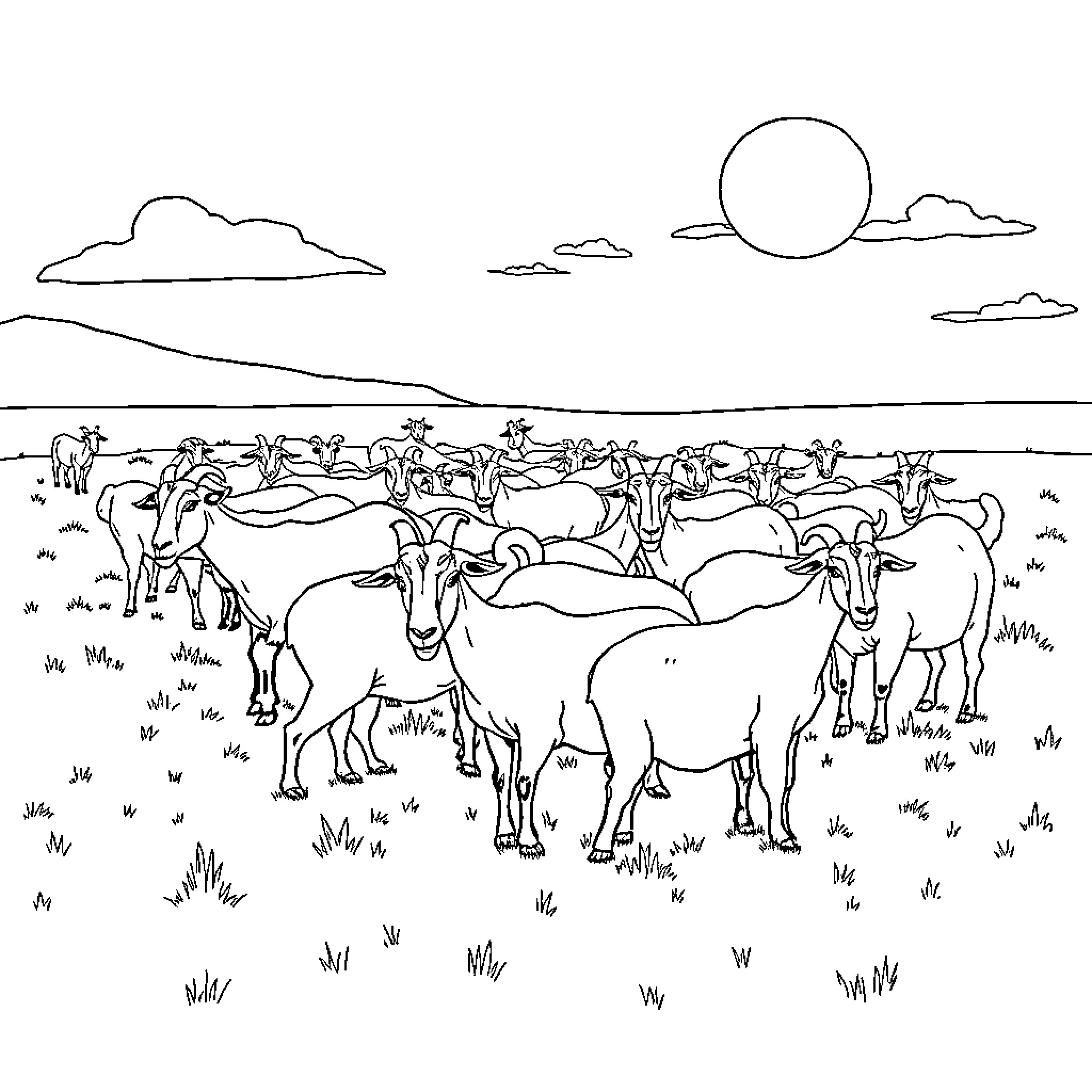Goats grazing peacefully in the countryside Coloring Page (free black-and-white line drawing printable PDF for all, from beginners to advanced learners, including children, teens, adults, and seniors)
